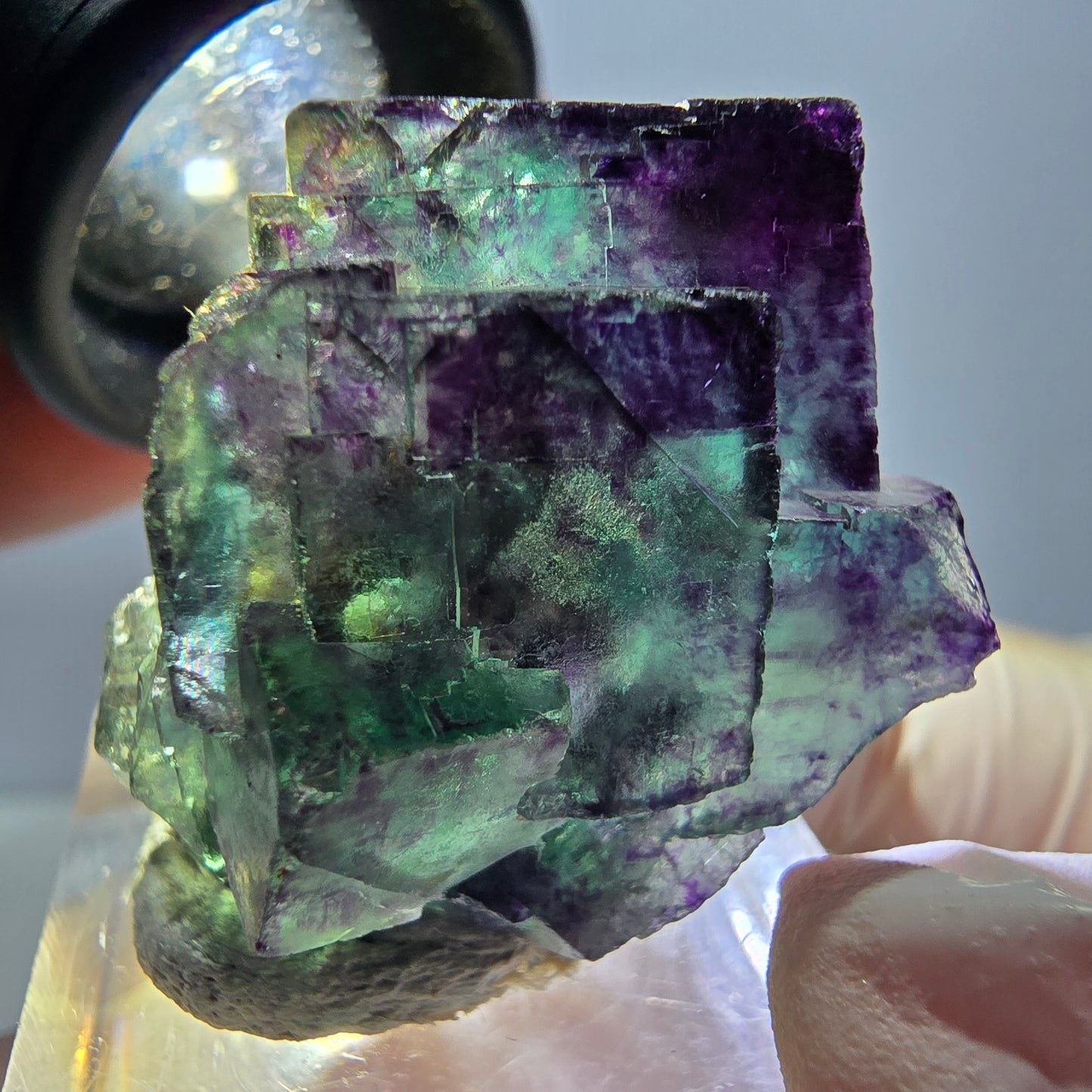 Phantom Fluorit Würfel Stufe, parkettiert grün lila Okorusu, Namibia 33*25*19mm