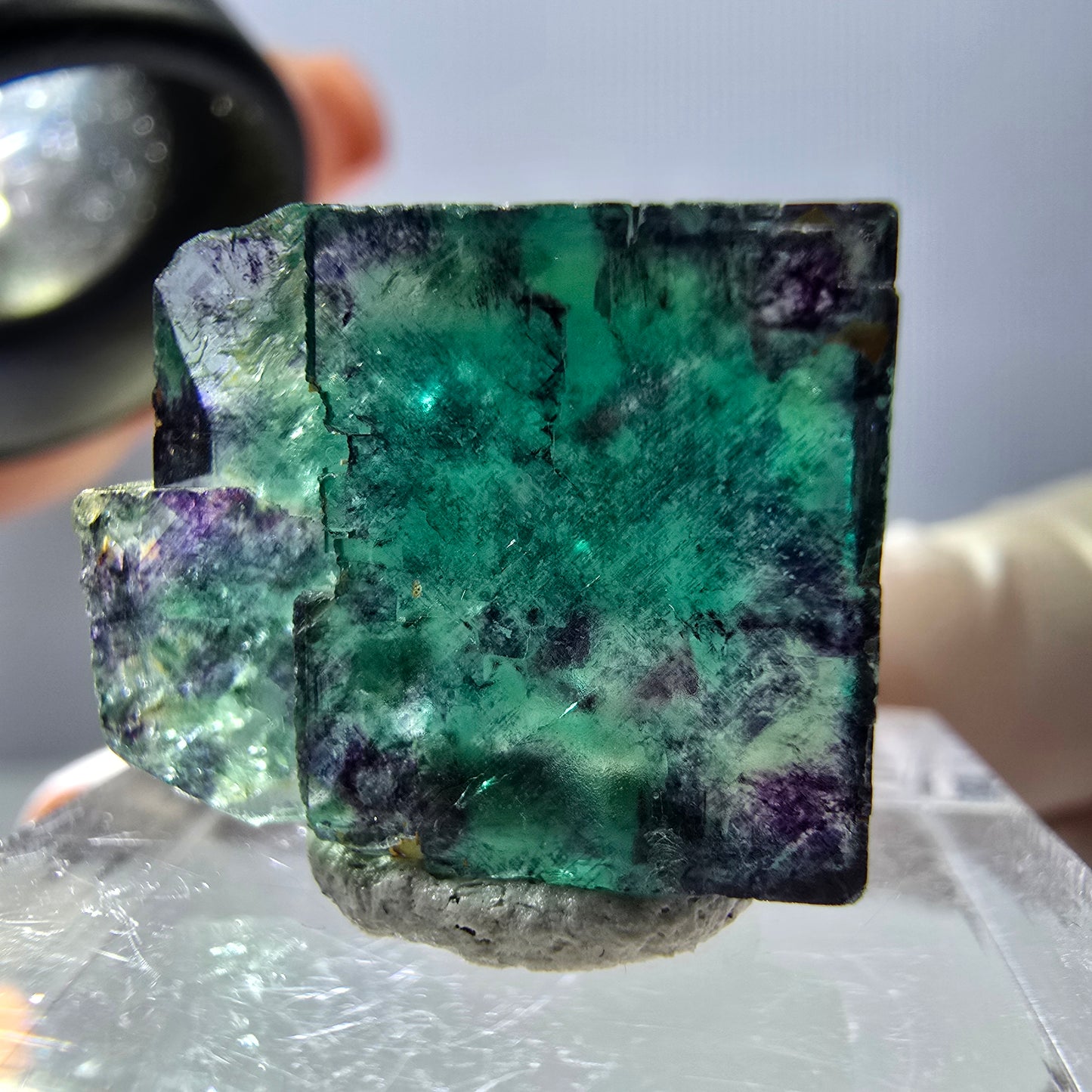 Phantom Fluorit Würfel Stufe, parkettiert grün lila Okorusu, Namibia 18*15*13mm