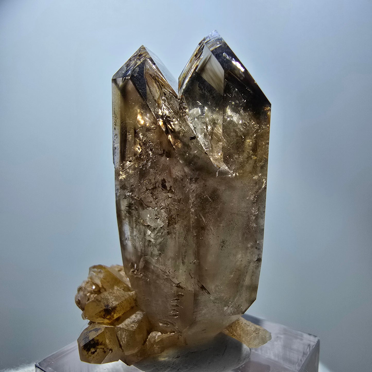Klare Phantom Rauchquarz Fenster Zepter Stufe Goboboseb, Namibia 42*27*19mm