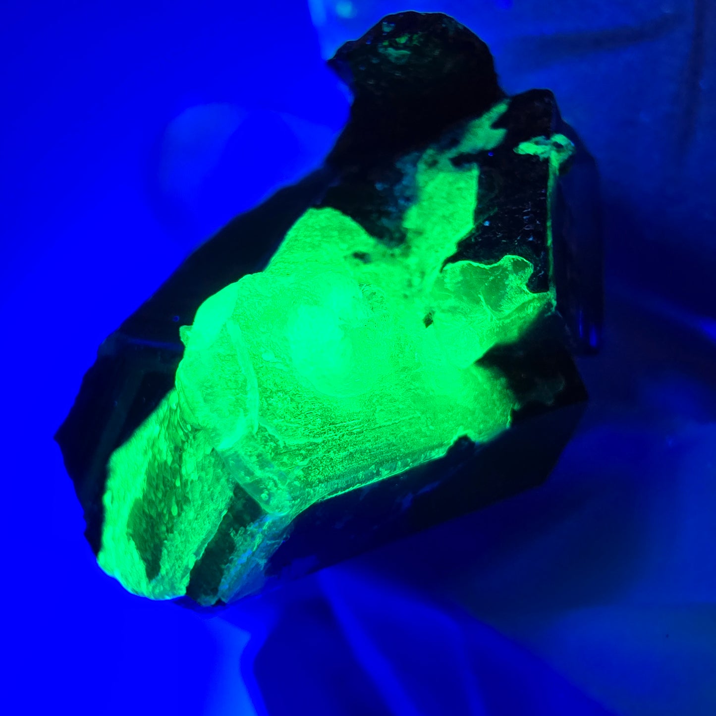 Sym. Tourmaline Schörl, quartz fumé, stade hyalite Erongo, Namibie 34*27*15mm