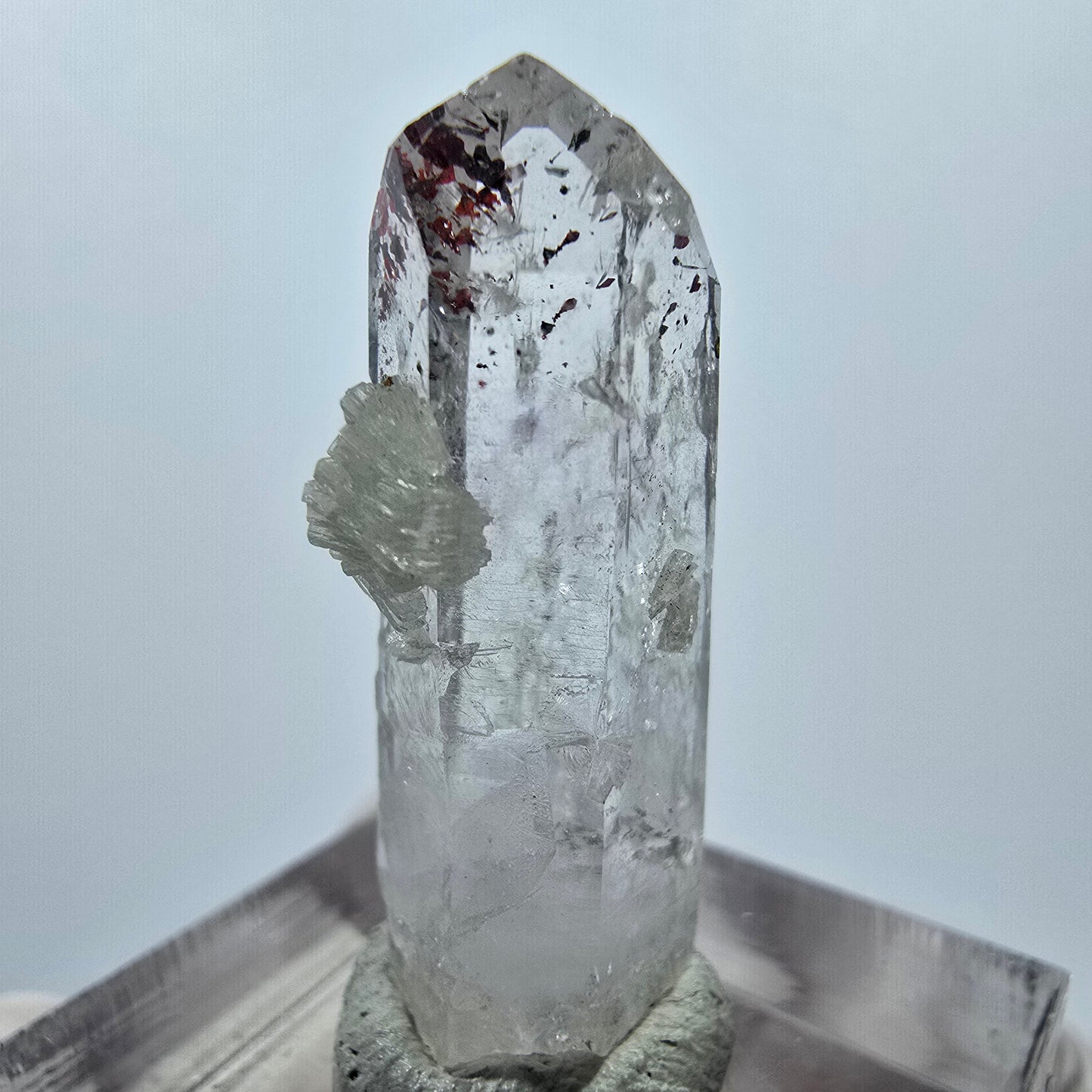 Quartz Harlequin avec préhnite Point Streep Mine, Goboboseb, Namibie 31 x 12 x 9 mm