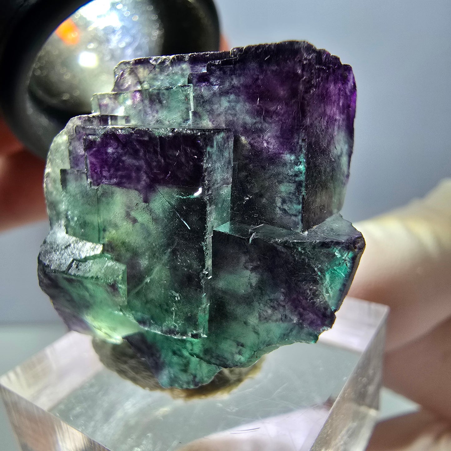 Phantom Fluorit Würfel Stufe, parkettiert grün lila Okorusu, Namibia 33*25*19mm