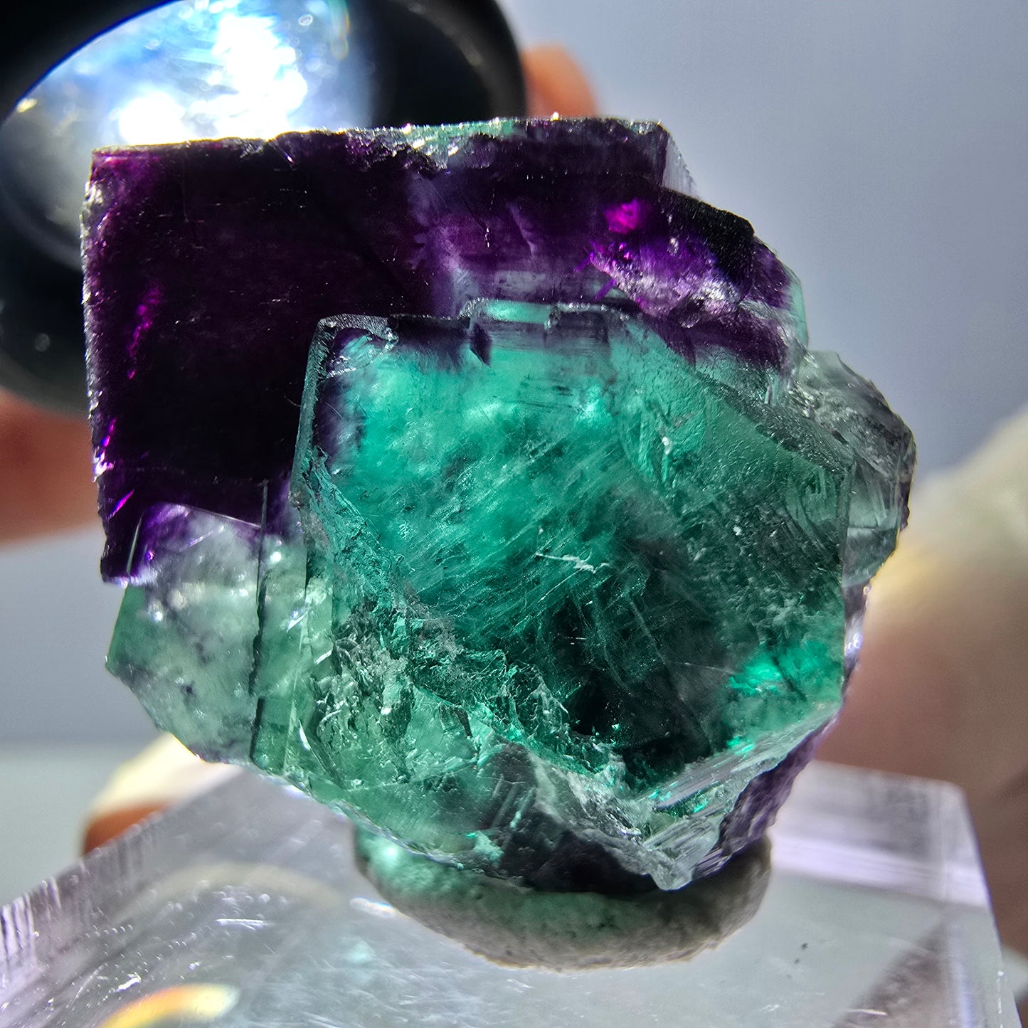 Phantom Fluorit Würfel Stufe, parkettiert grün lila Okorusu, Namibia 23*23*15mm