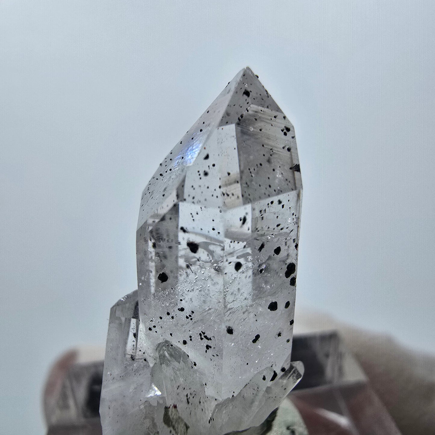 Quartz hématite transparent Point Streep Mine, Goboboseb, Namibie 29 x 14 x 10 mm