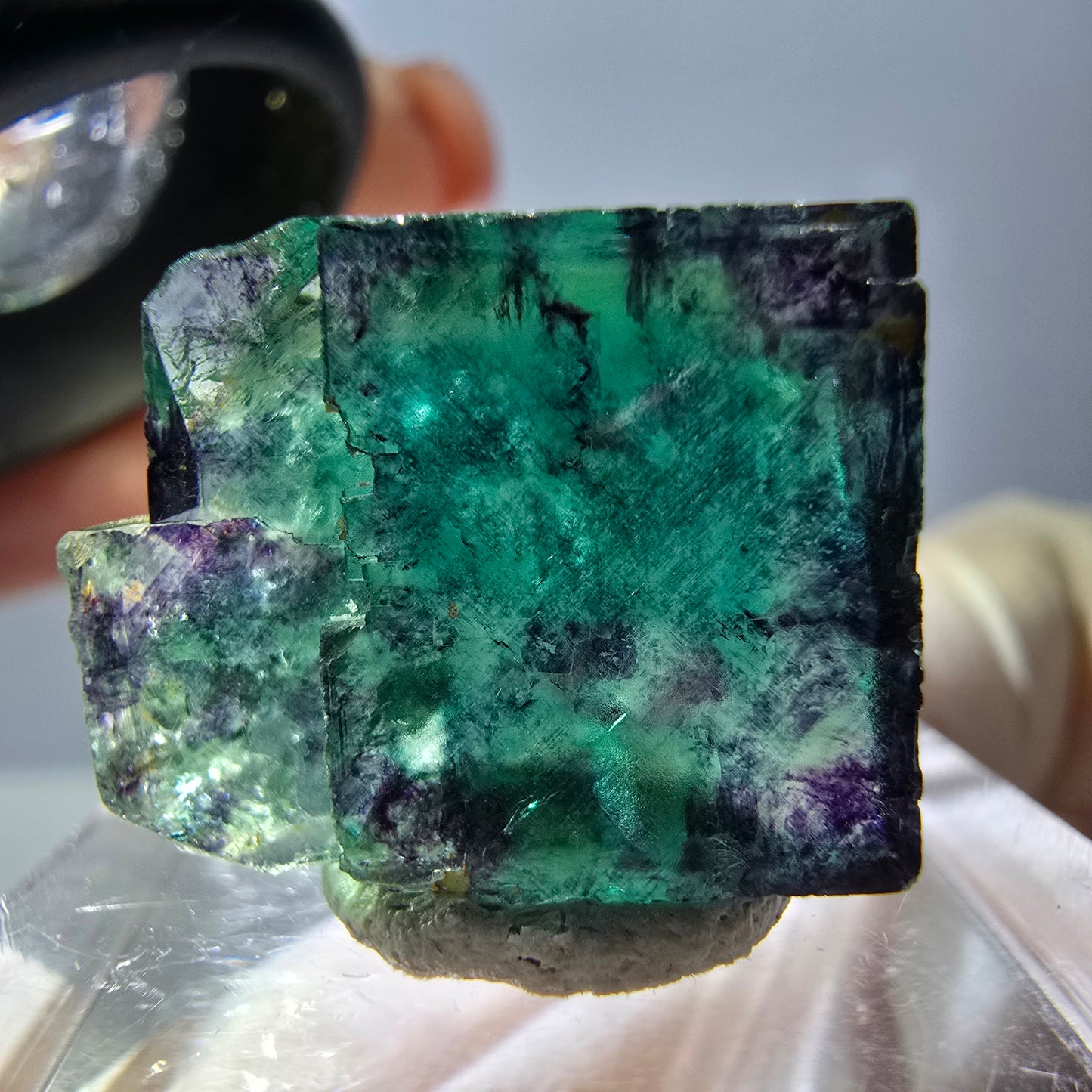 Phantom Fluorit Würfel Stufe, parkettiert grün lila Okorusu, Namibia 18*15*13mm