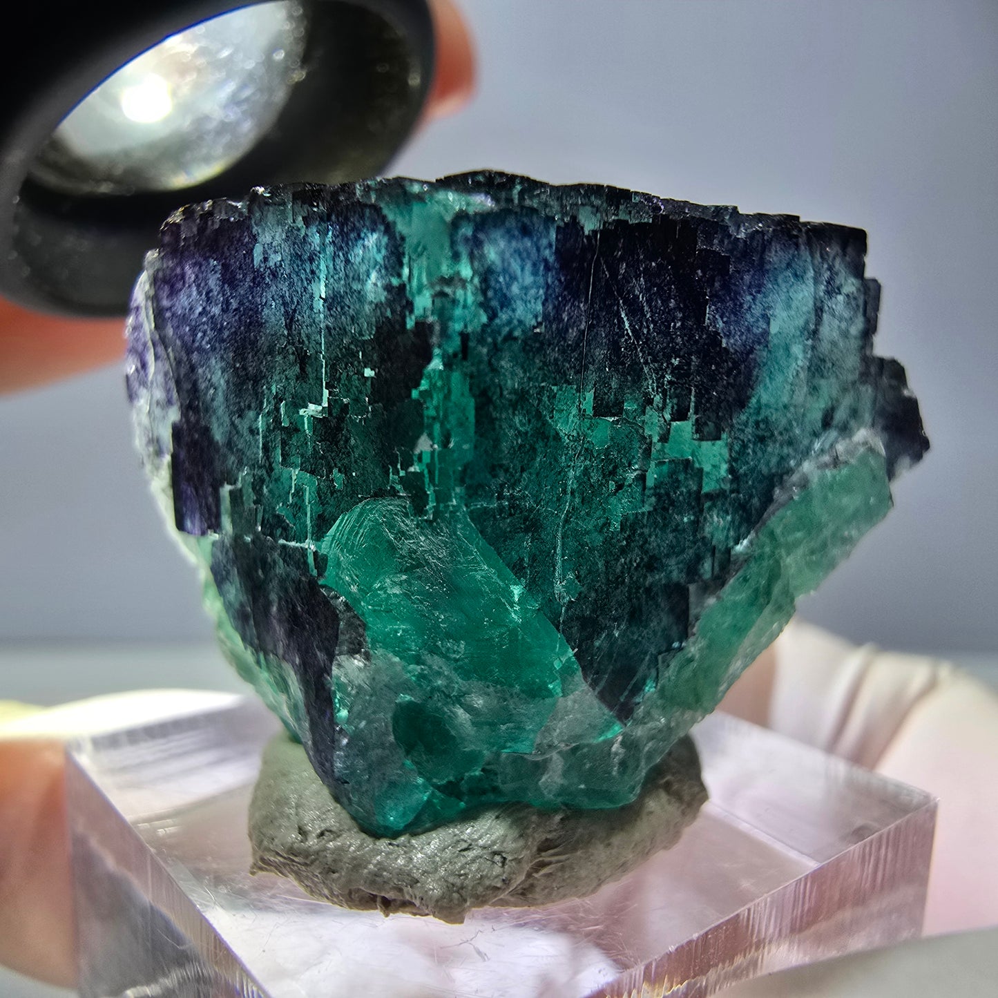 Phantom Fluorit Würfel parkettiert, grün lila Okorusu, Namibia 29*23*22mm