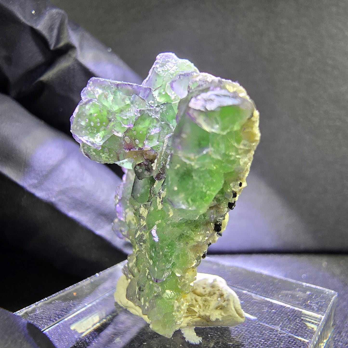 Klare Phantom Fluorit mit Schörl Muskovit Stufe grün lila Erongo, Namibia 28*24*18mm