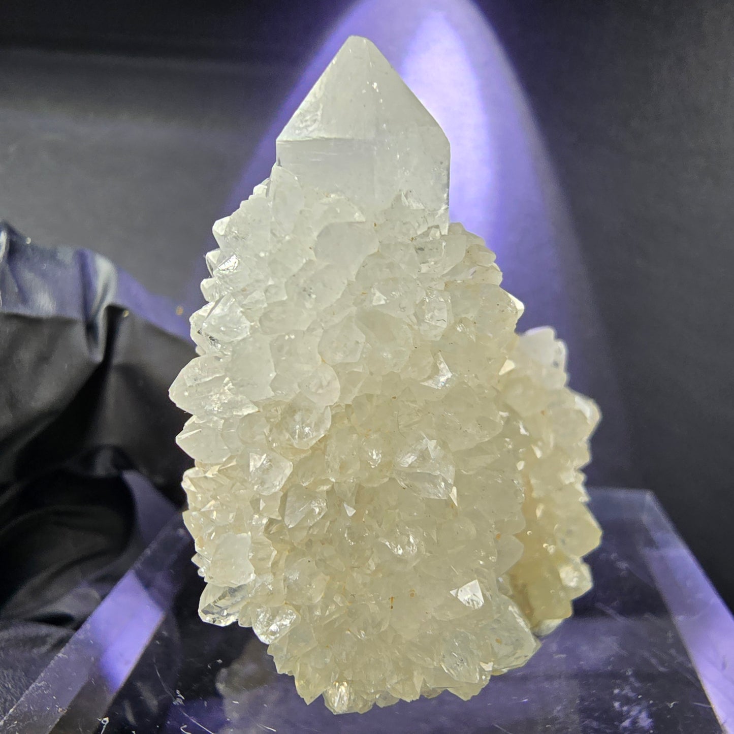Seltene Kaktusquarz, Spirit Quarz XX Stufe 35*37*30mm Boekenhouthoek, Südafrika