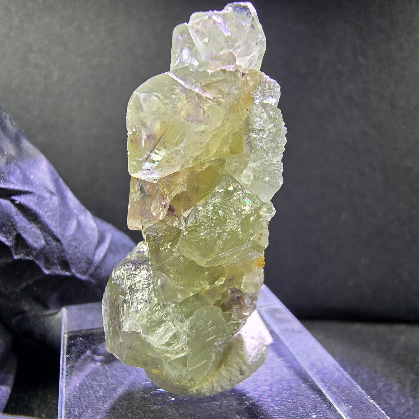 Seltene Phantom Fluorit XX Würfel Stufe grün lila 35*21*14mm Okorusu, Namibia