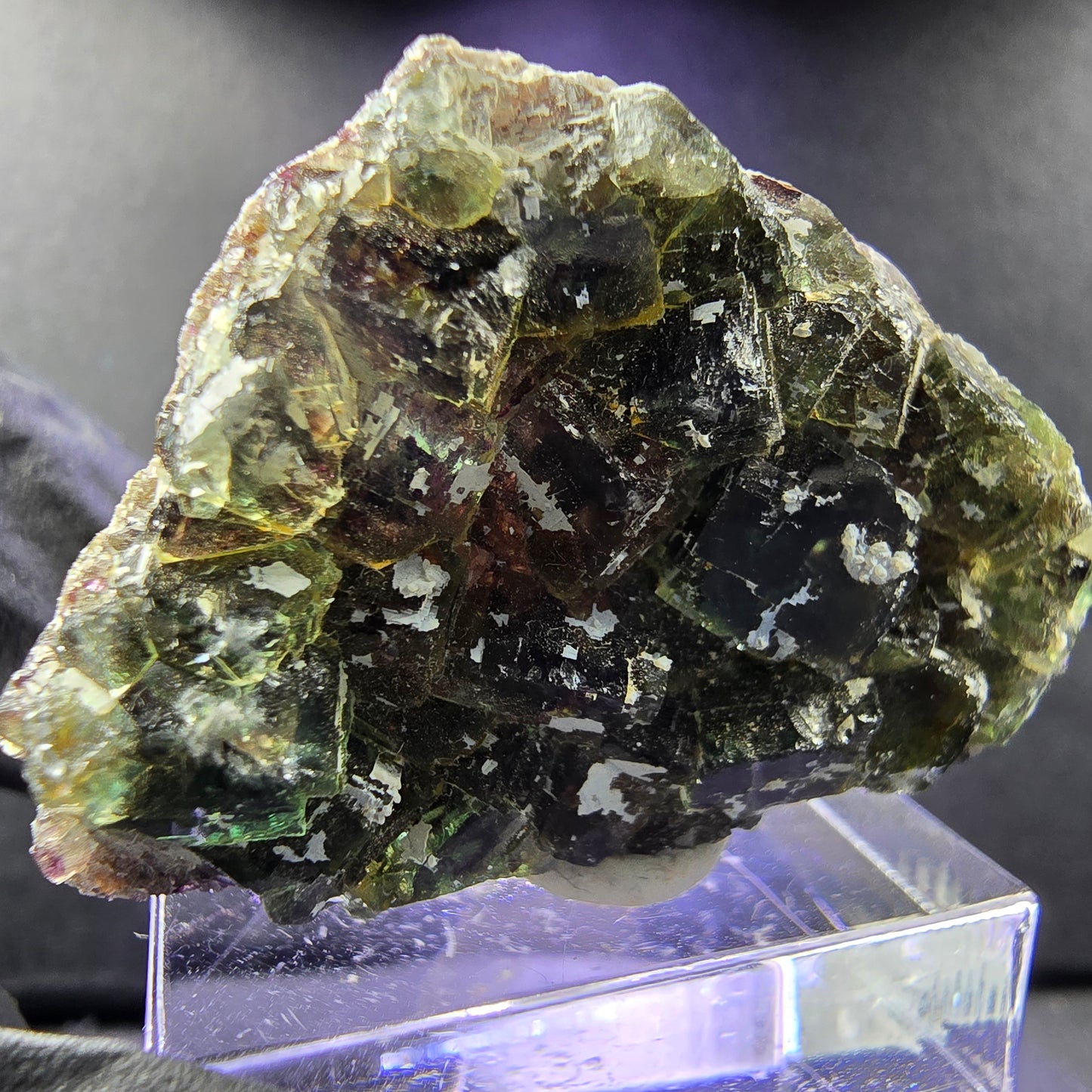 Seltene Phantom Fluorit XX Würfel Stufe grün lila 32*30*7mm aus Okorusu, Namibia