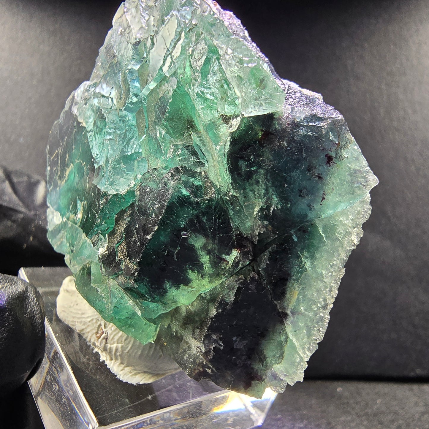 Seltene Phantom Fluorit Stufe grün 48*40*21mm Okorusu, Namibia Sammlung