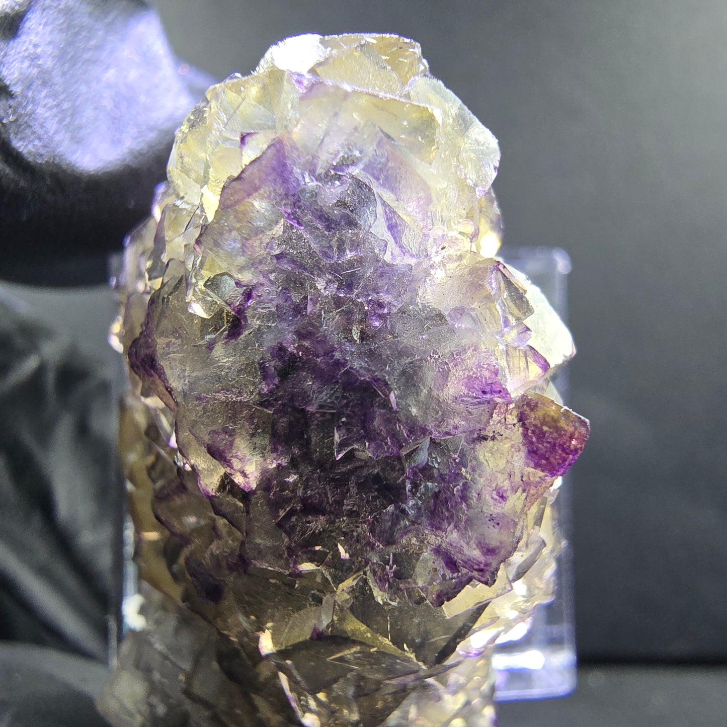 Seltene Honey Pocket Phantom Fluorit XX Würfel Stufe 46*22*23mm Okorusu, Namibia