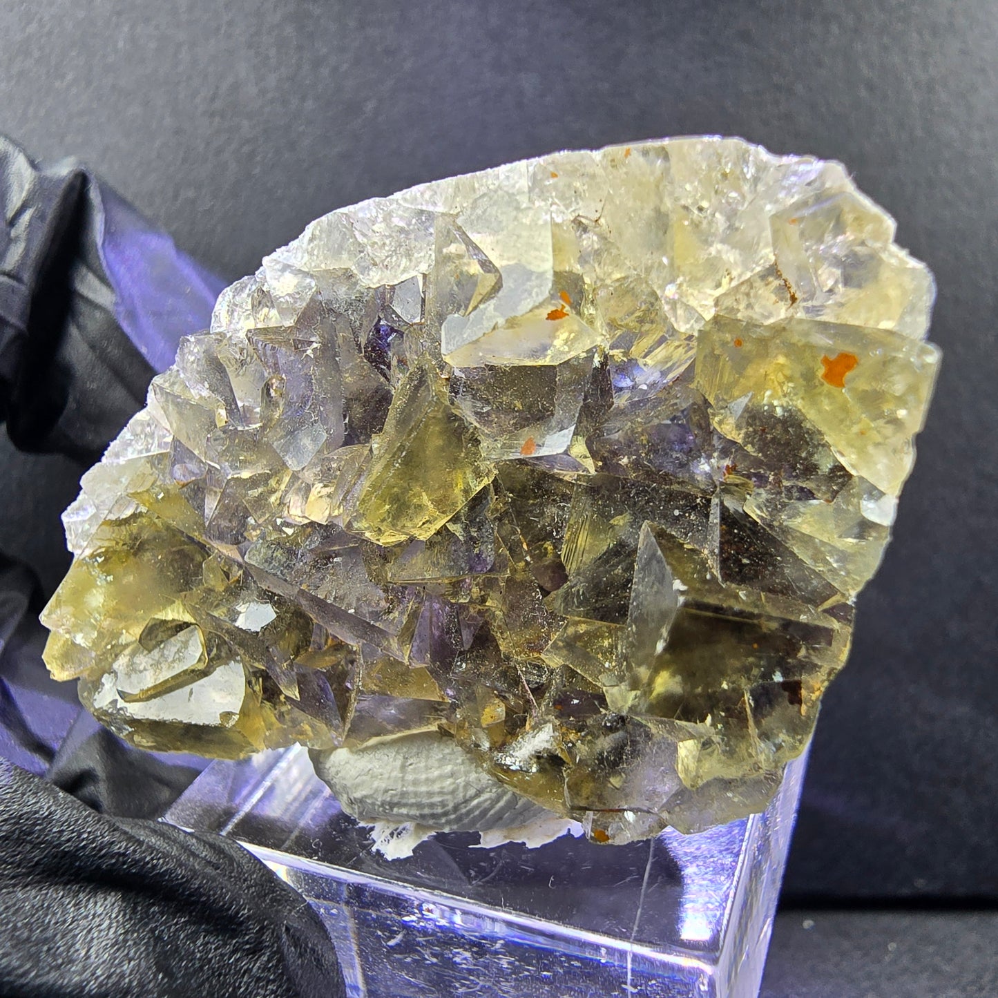 Seltene Honey Pocket Phantom Fluorit XX Würfel Stufe 44*28*13mm Okorusu, Namibia