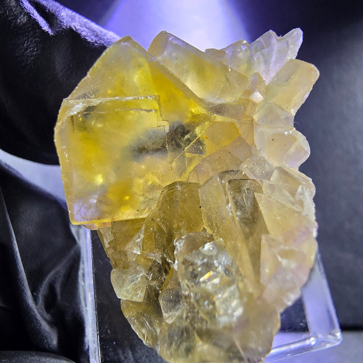 Seltene Honey Pocket Phantom Fluorit XX Würfel Stufe 31*20*19mm Okorusu, Namibia