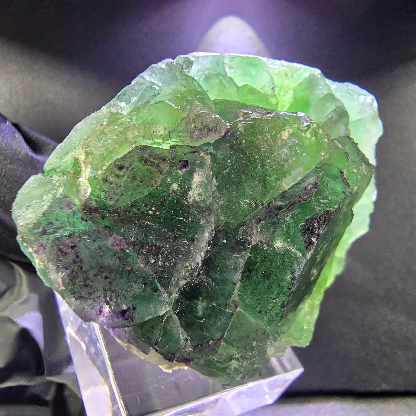 Rare zonar Phantom Fluorite XX stade vert violet 45*39*21mm Okorusu, Namibie