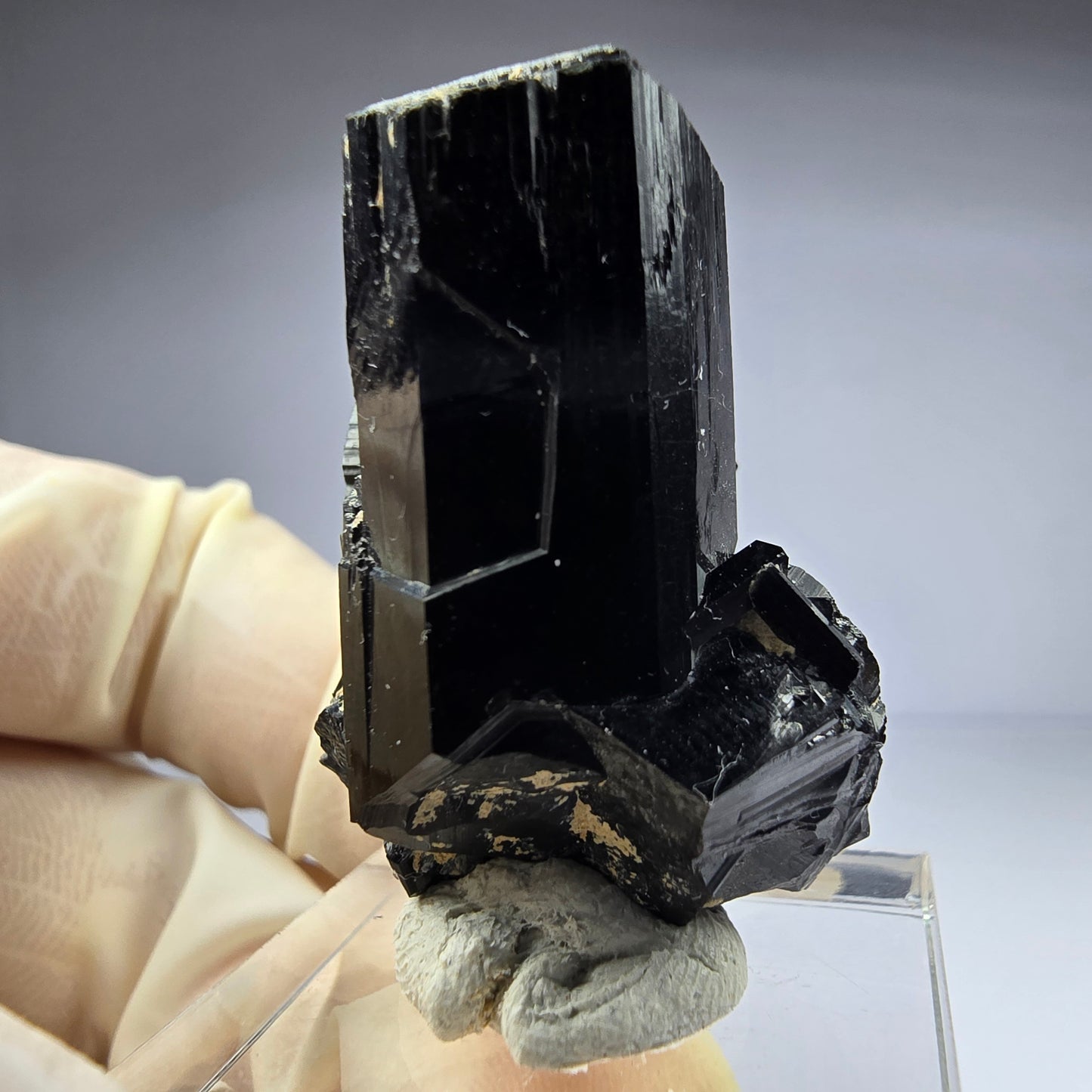 Seltene Schörl Turmalin Stufe schwarz 36*27*20mm Erongo, Namibia Sammlung