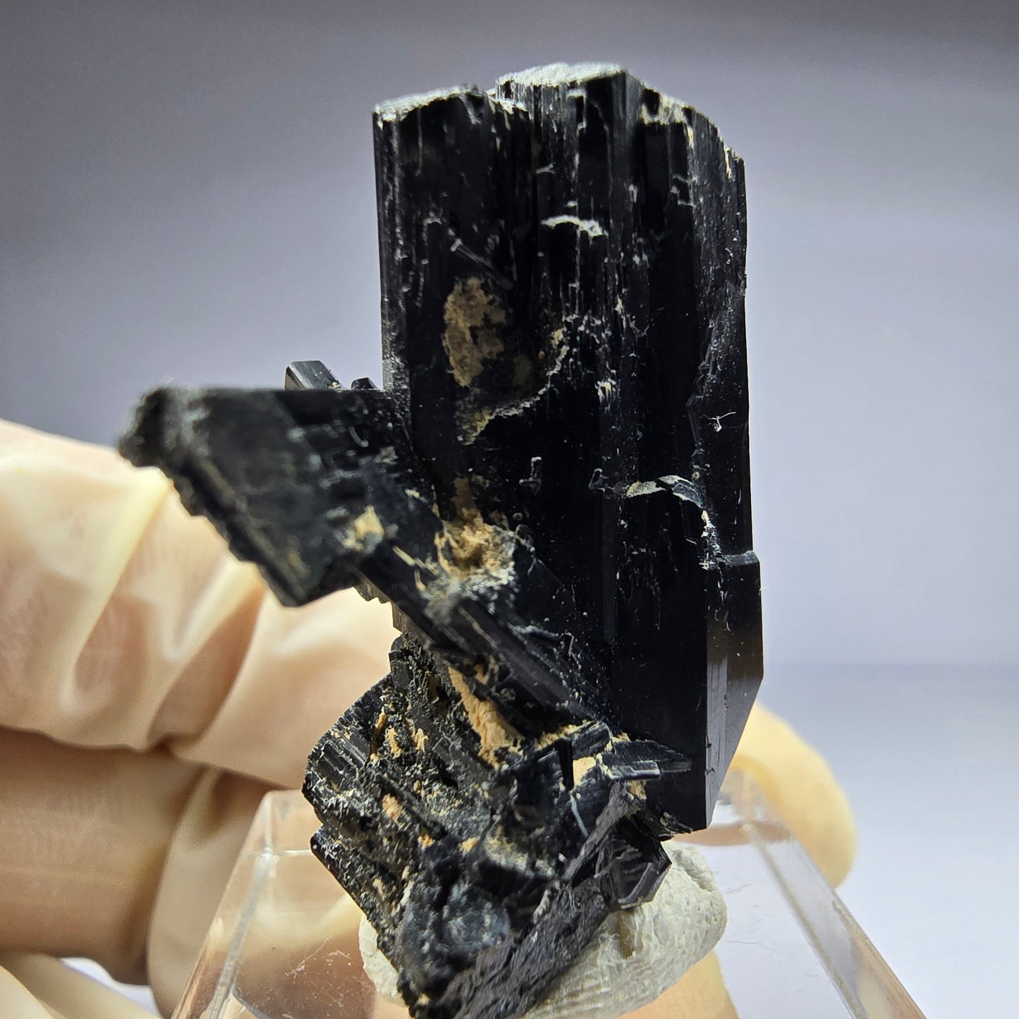 Seltene Schörl Turmalin Stufe schwarz 36*27*20mm Erongo, Namibia Sammlung