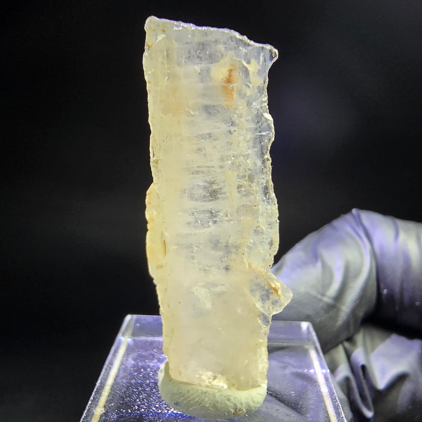 Seltener Kunzit Spodumen Kristall weiß UV Mineral 41*15*6mm Brasilien Sammlung