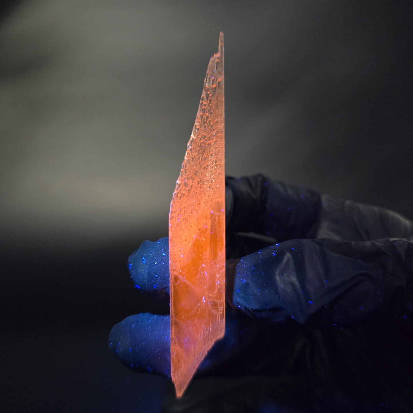 Seltener Kunzit, Spodumen Kristall rosa weiß UV Mineral 97*18*13mm aus Brasilien
