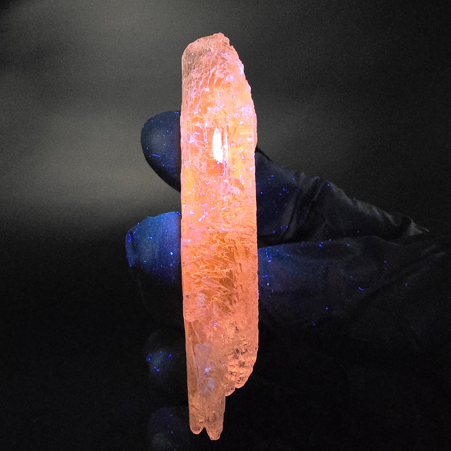 Seltener Kunzit Spodumen Kristall weiß UV Mineral 73*22*13mm Brasilien Sammlung