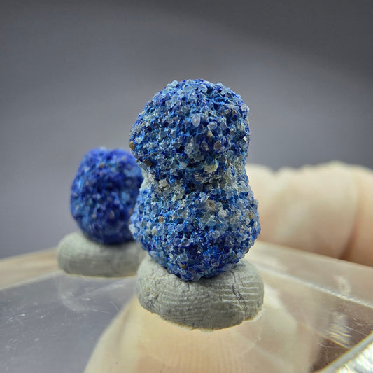 2x seltene Azurit Blueberry - Set 12,1mm + 8,5mm Durchmesser aus USA, New Mexico