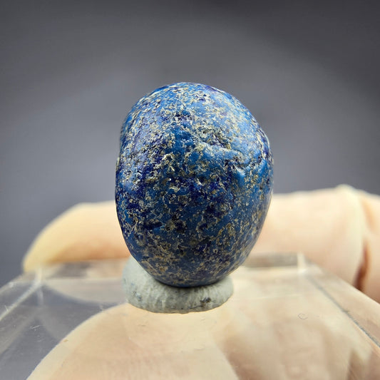 Seltene große Azurit Blueberry - poliert 14,9mm Durchmesser aus USA, New Mexico