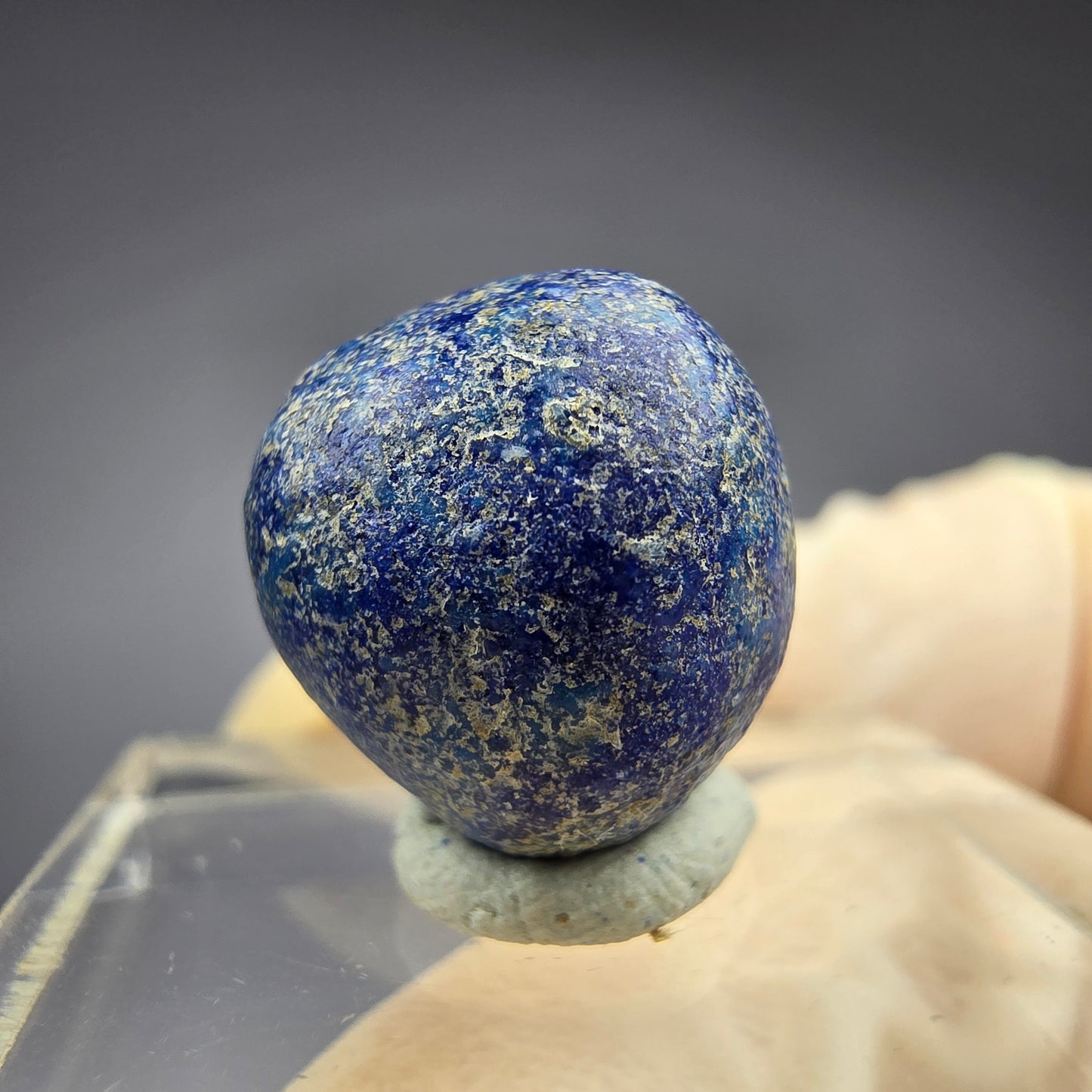 Seltene große Azurit Blueberry - poliert 14,4mm Durchmesser aus USA, New Mexico