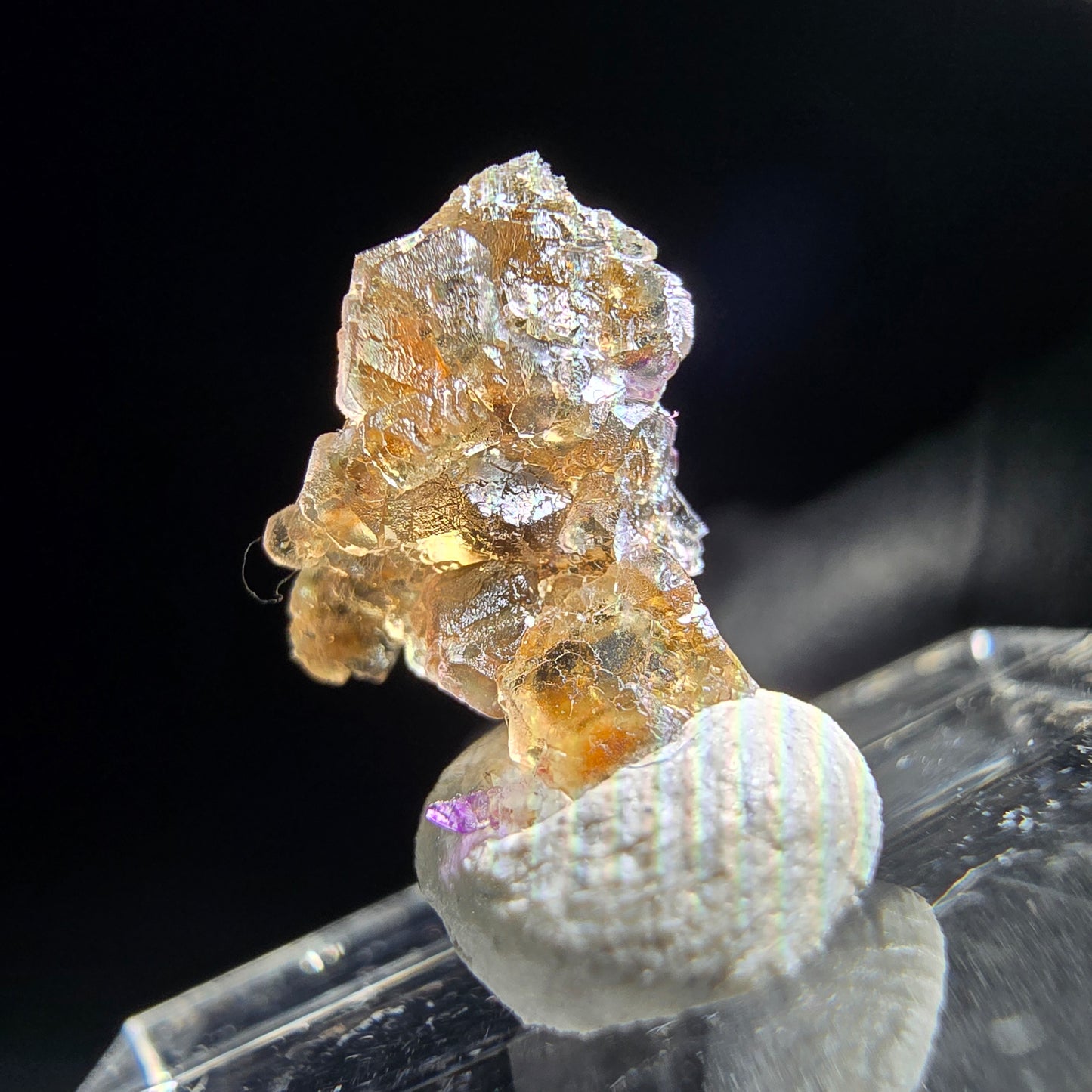 Klare gelb lila Fluorit Stufe Erongo, Namibia 12*9*5mm Sammlung