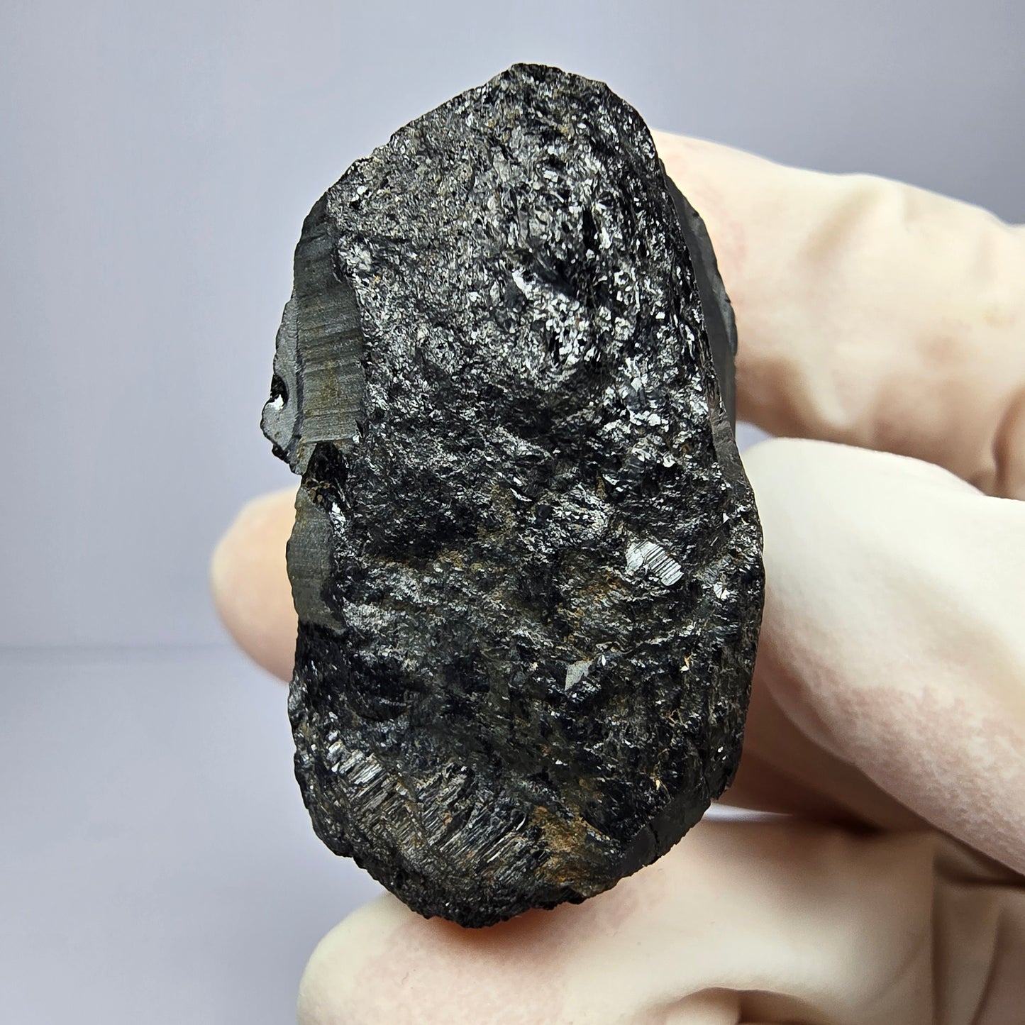 Schöner Schörl Turmalin Kristall glänzend Erongo, Namibia 39*32*21mm Sammlung