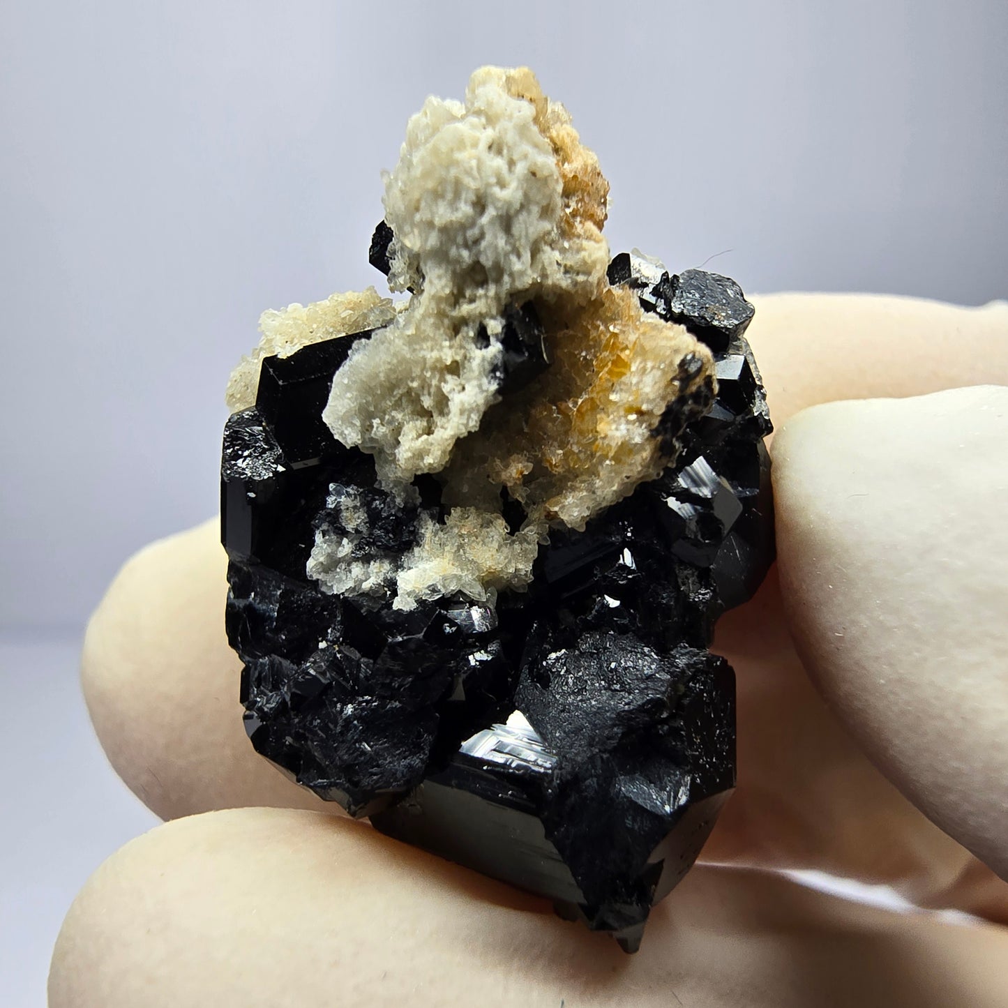 Tourmaline Schörl symétrique, stade orthose collection Erongo Namibie 26*20*14mm