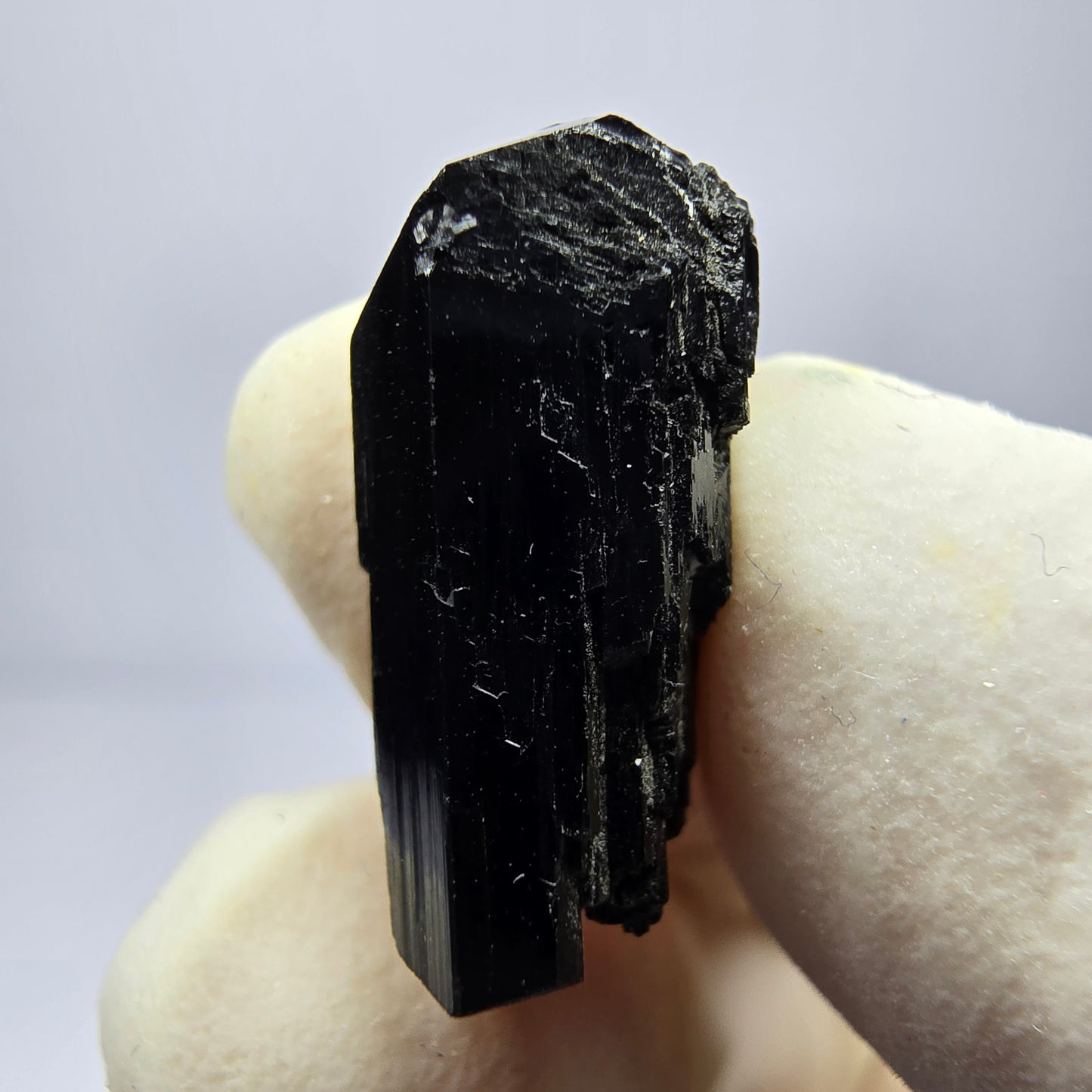 Spécimen de tourmaline Schörl symétrique Erongo, namibie collection minérale 18*8*8mm