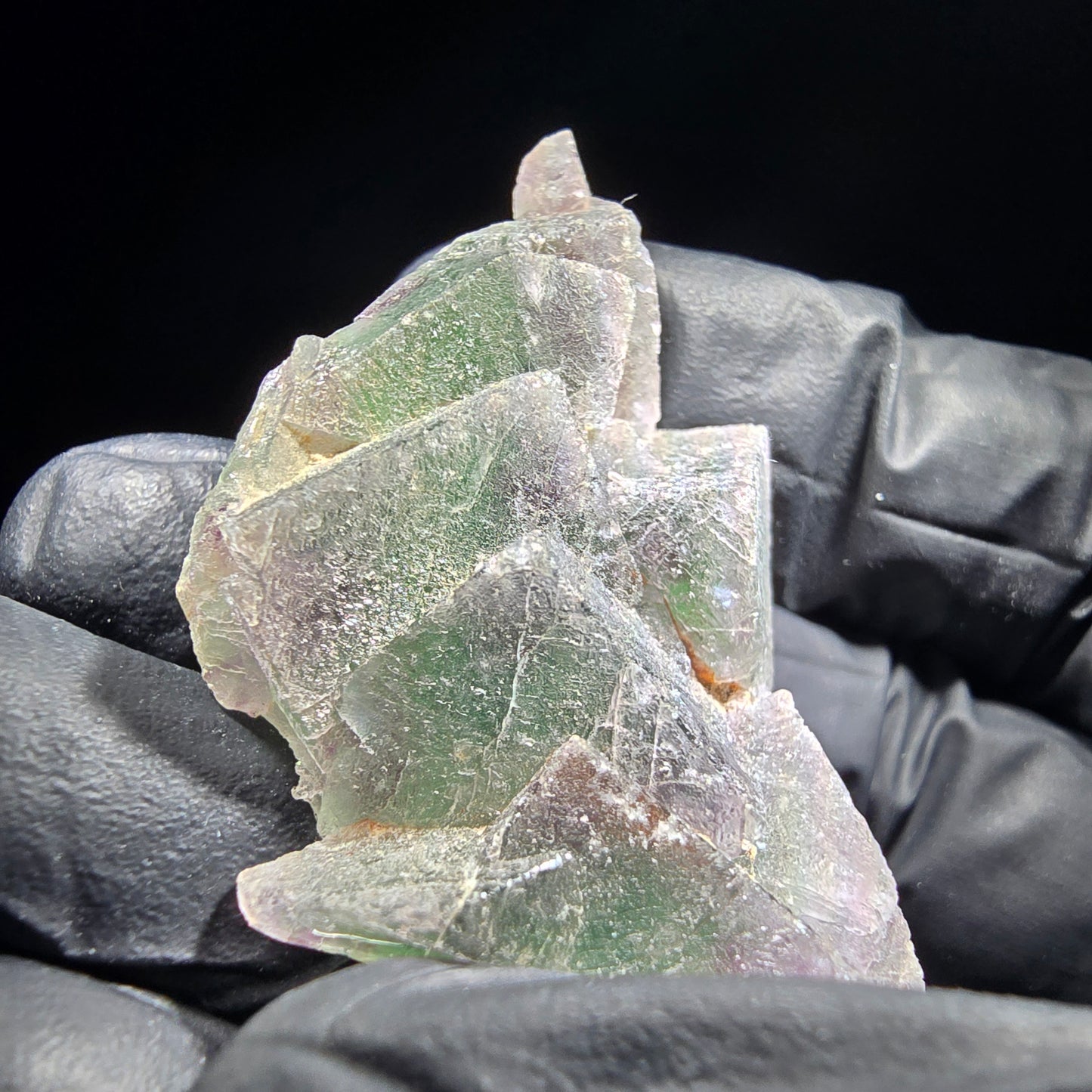 Phantom Fluorite Cube Tier Vert Violet Okorusu, Namibie 46*29*12mm Collection