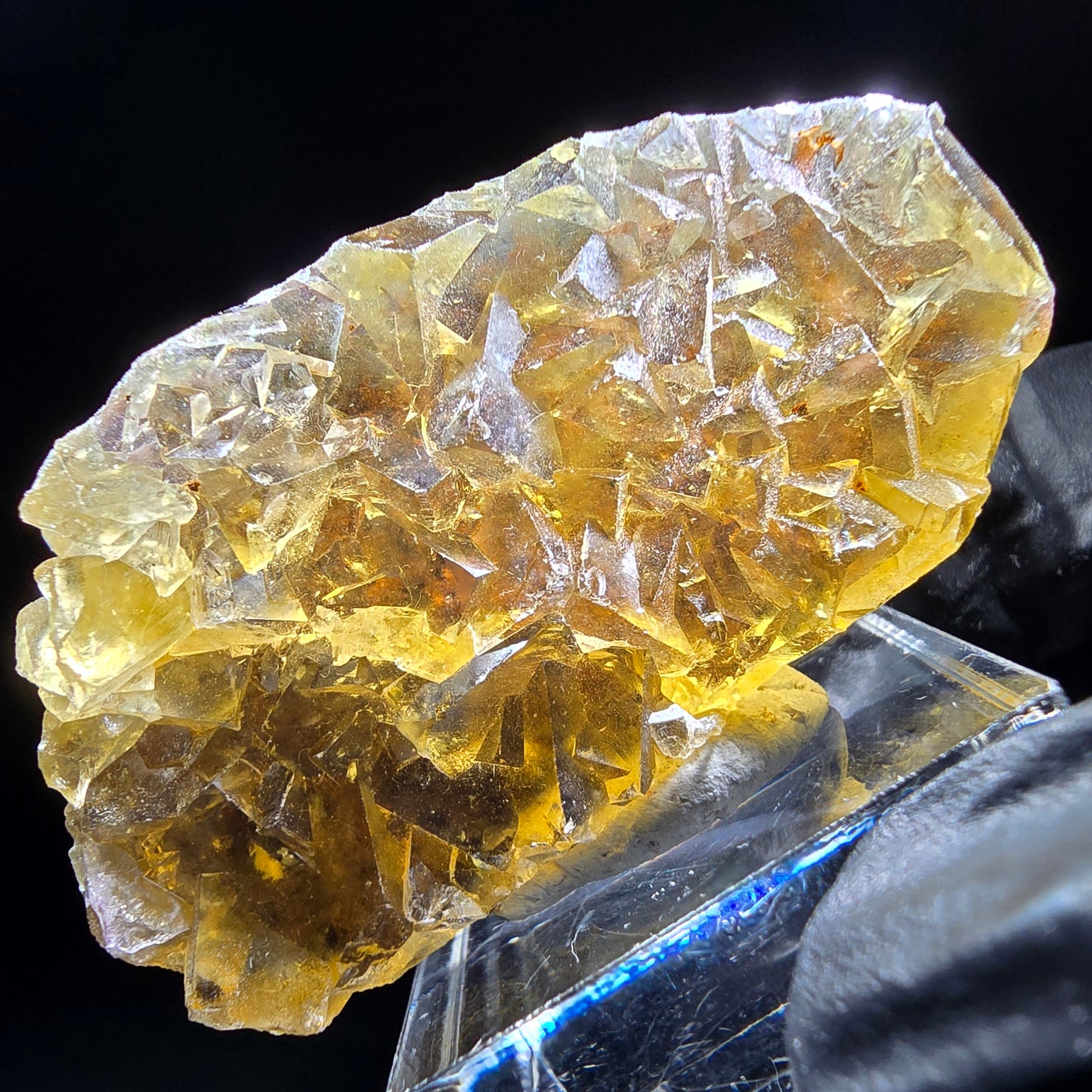 Honey Pocket Phantom Fluorite stage jaune bleu Okorusu namibie 50*28*14mm collection