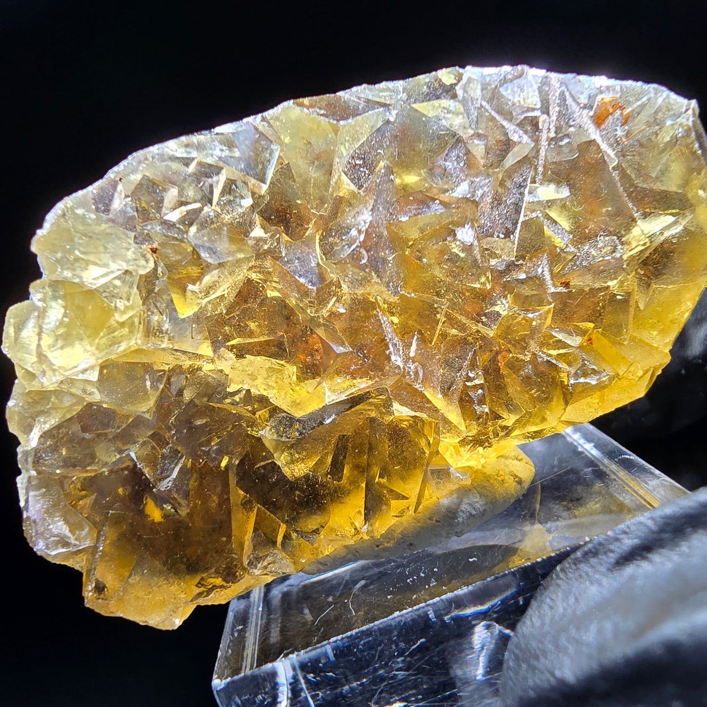Honey Pocket Phantom Fluorite stage jaune bleu Okorusu namibie 50*28*14mm collection