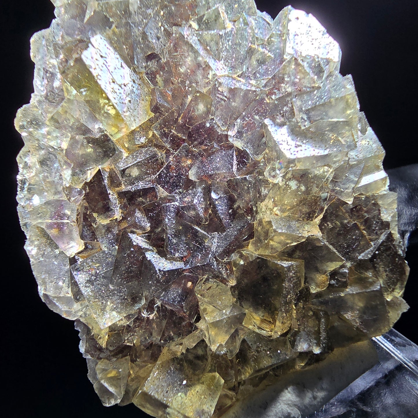 Honey Pocket Phantom Fluorite stage jaune violet Okorusu Namibie 49*37*11mm collection