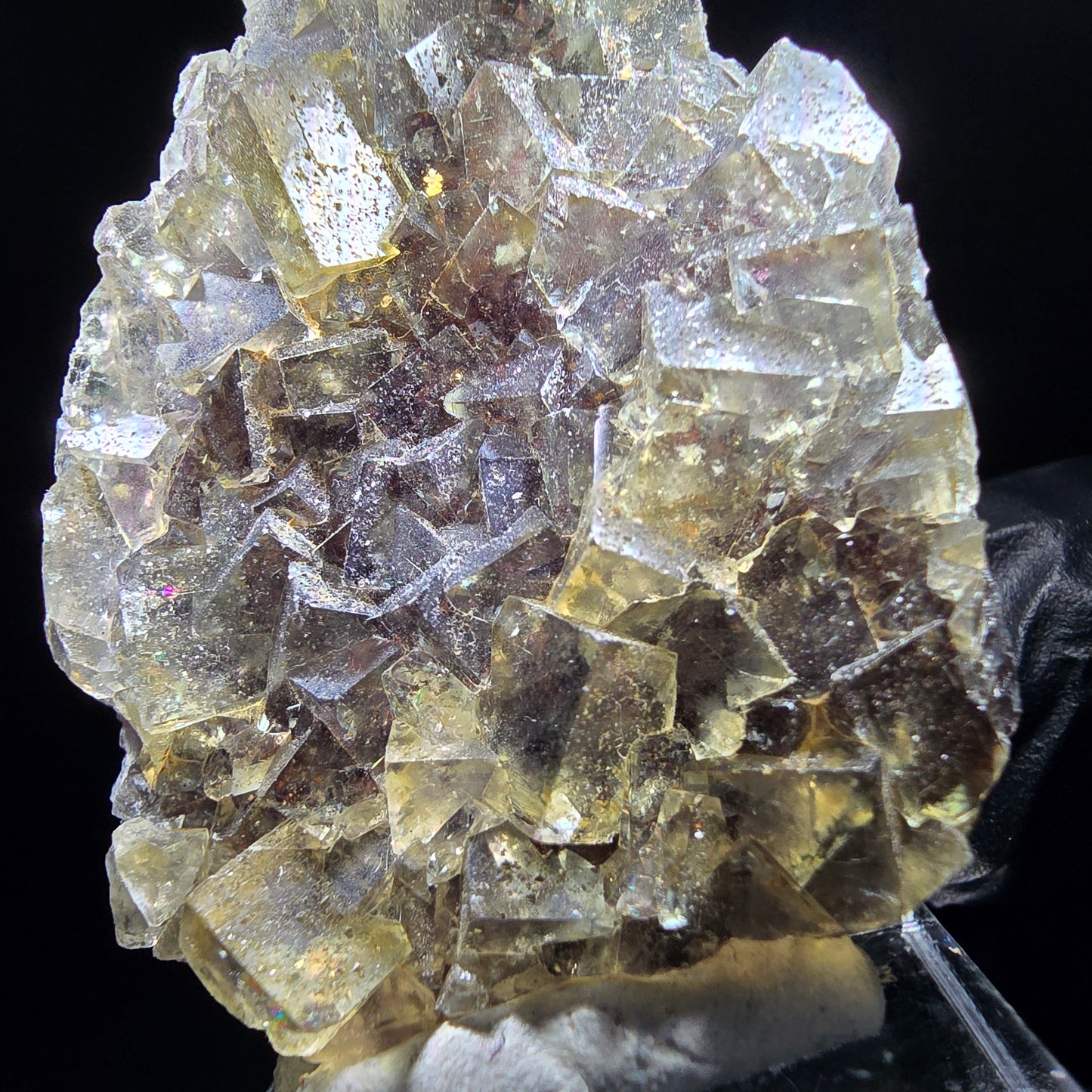 Honey Pocket Phantom Fluorite stage jaune violet Okorusu Namibie 49*37*11mm collection