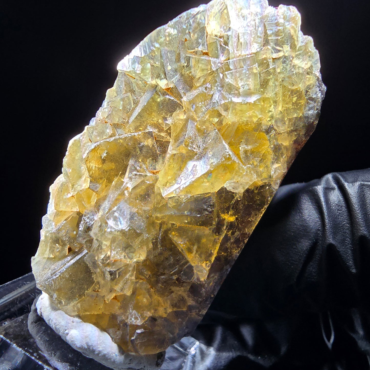 Honey Pocket Phantom Fluorite stage jaune violet Okorusu Namibie 49*27*11mm collection