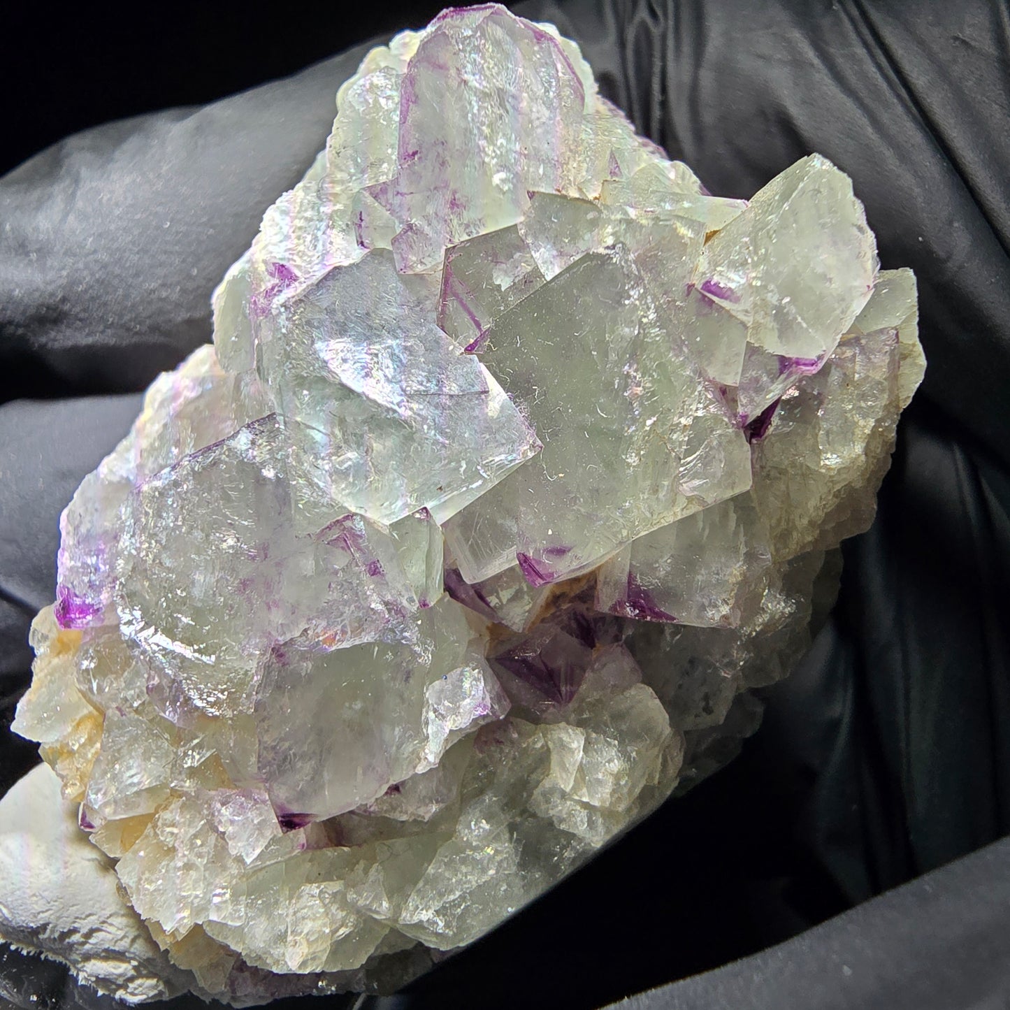 Zonare Fluorite Cube Tier Violet Vert Okorusu, Namibie 44*41*19mm Collection