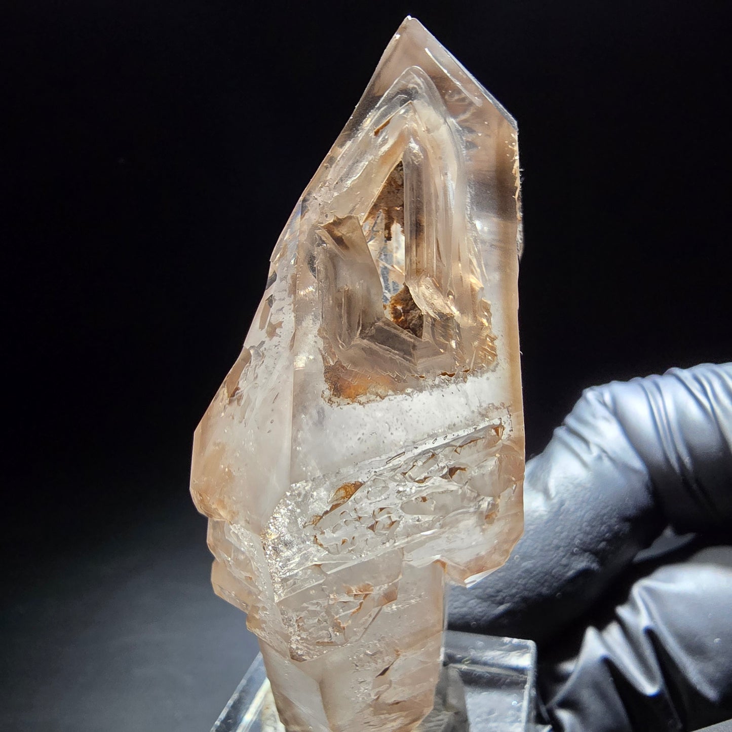 Phantom Rauchquarz Fenster Doppelender Stufe Goboboseb, Namibia 61*38*24mm