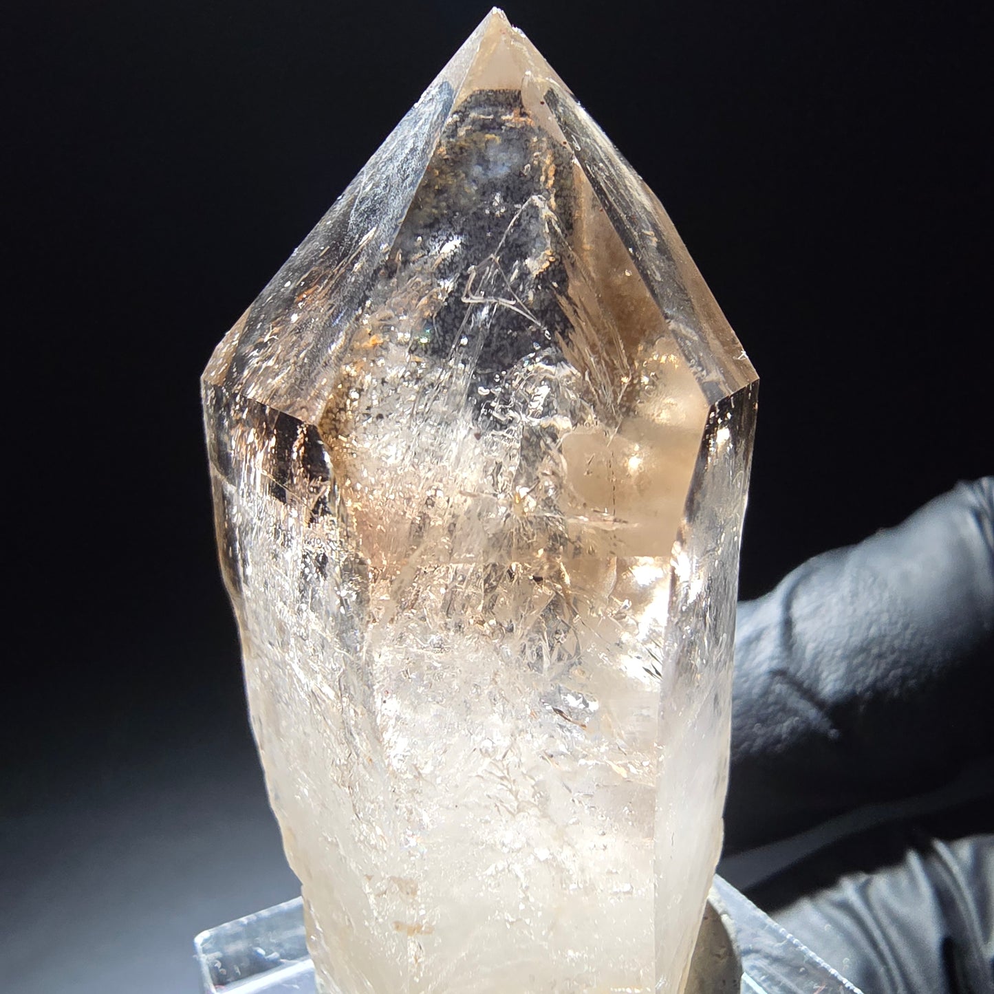 Klare Phantom Rauchquarz Zepter Spitze Goboboseb, Namibia 48*27*19mm Sammlung