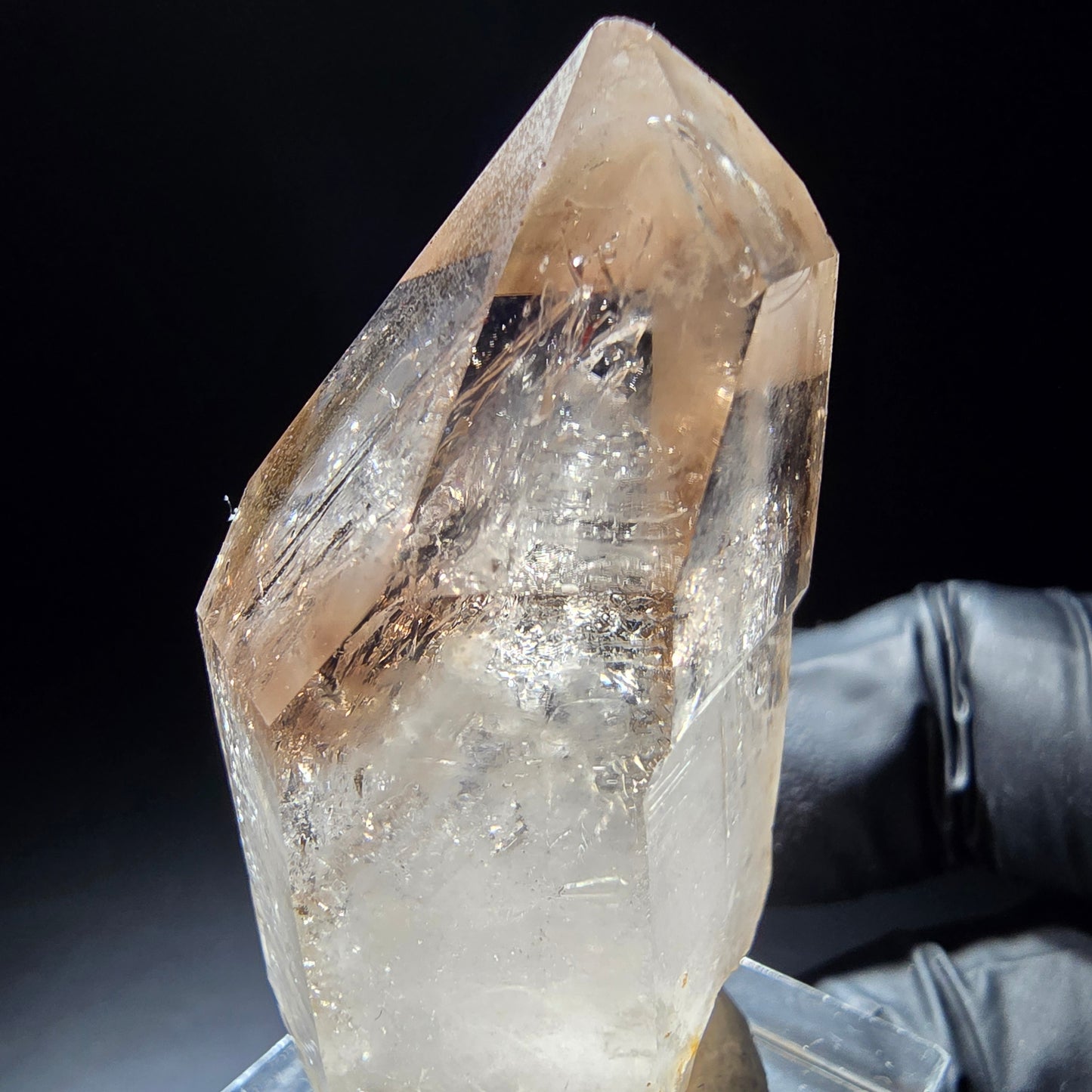 Klare Phantom Rauchquarz Zepter Spitze Goboboseb, Namibia 48*27*19mm Sammlung