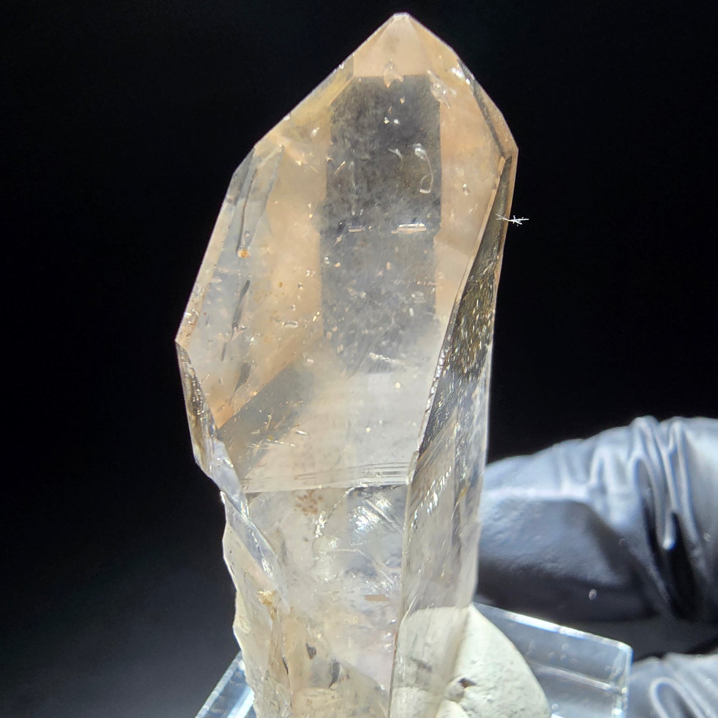 Klare Phantom Rauchquarz Zepter Spitze Goboboseb, Namibia 45*20*11mm Sammlung