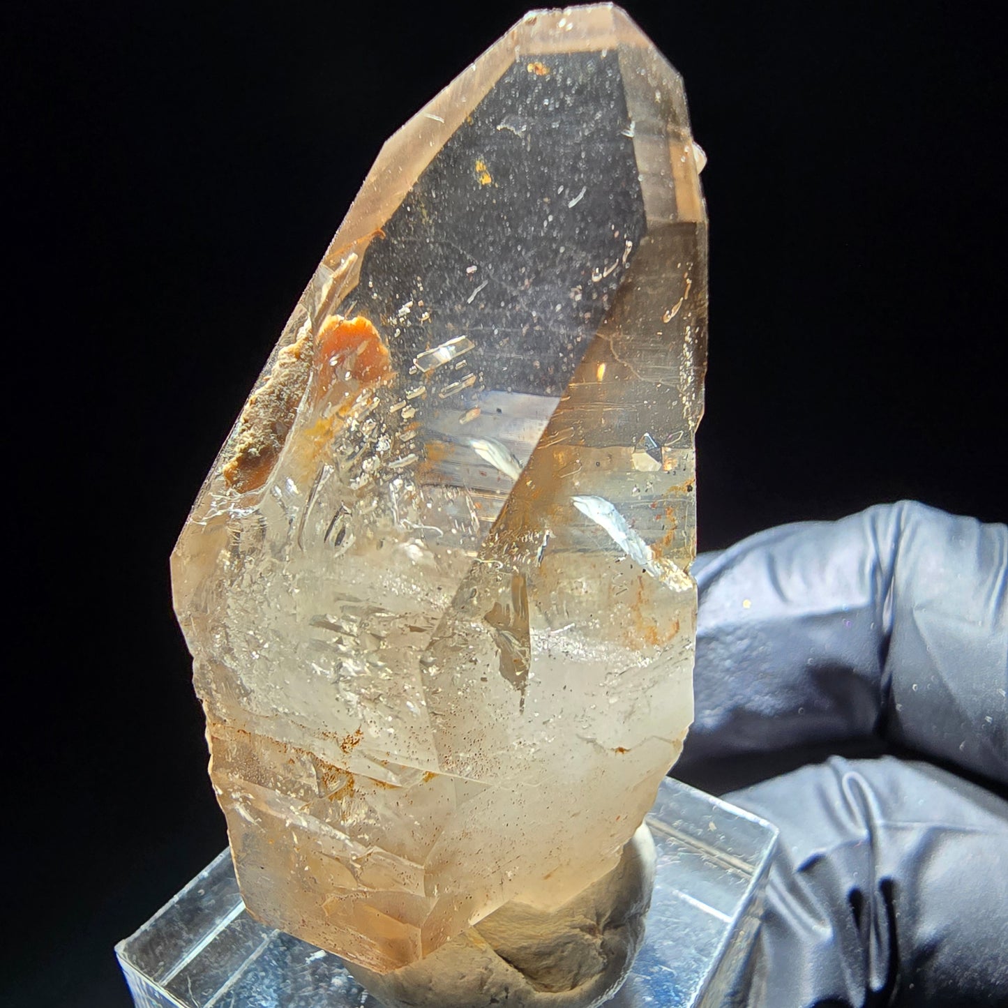 Phantom Rauchquarz Doppelender Zepter Goboboseb, Namibia 47*26*19mm Sammlung