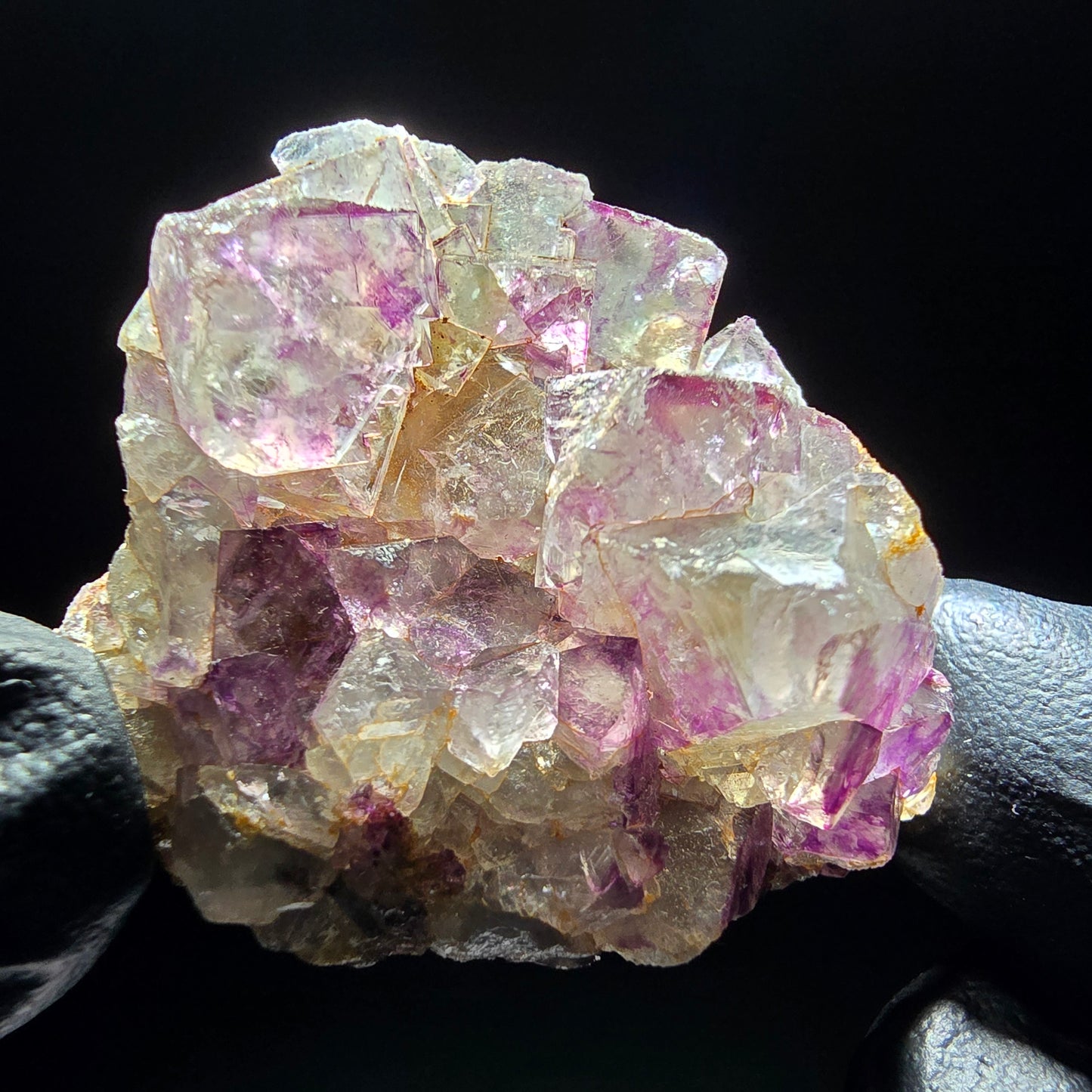 Zonare Fluorite Cube Tier Vert Violet Okorusu, Namibie 42*36*18mm Collection