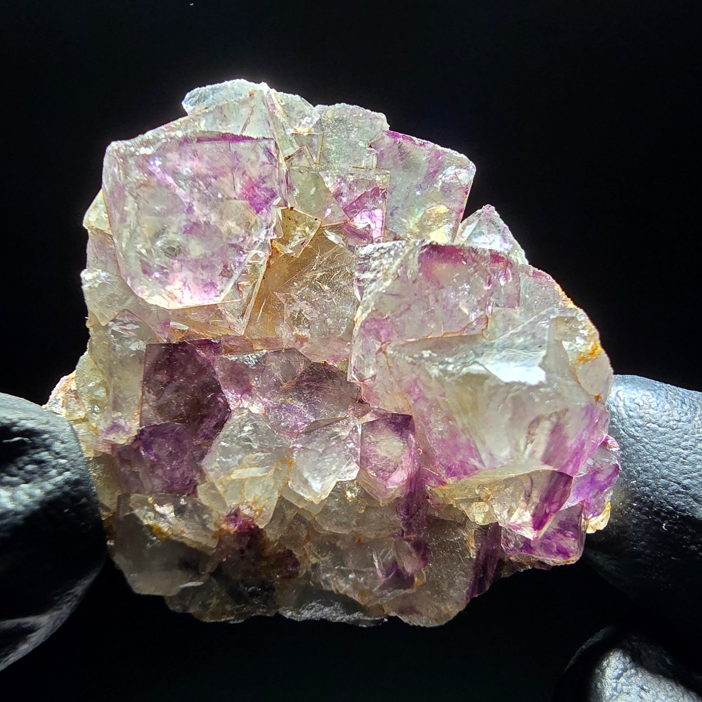 Zonare Fluorite Cube Tier Vert Violet Okorusu, Namibie 42*36*18mm Collection
