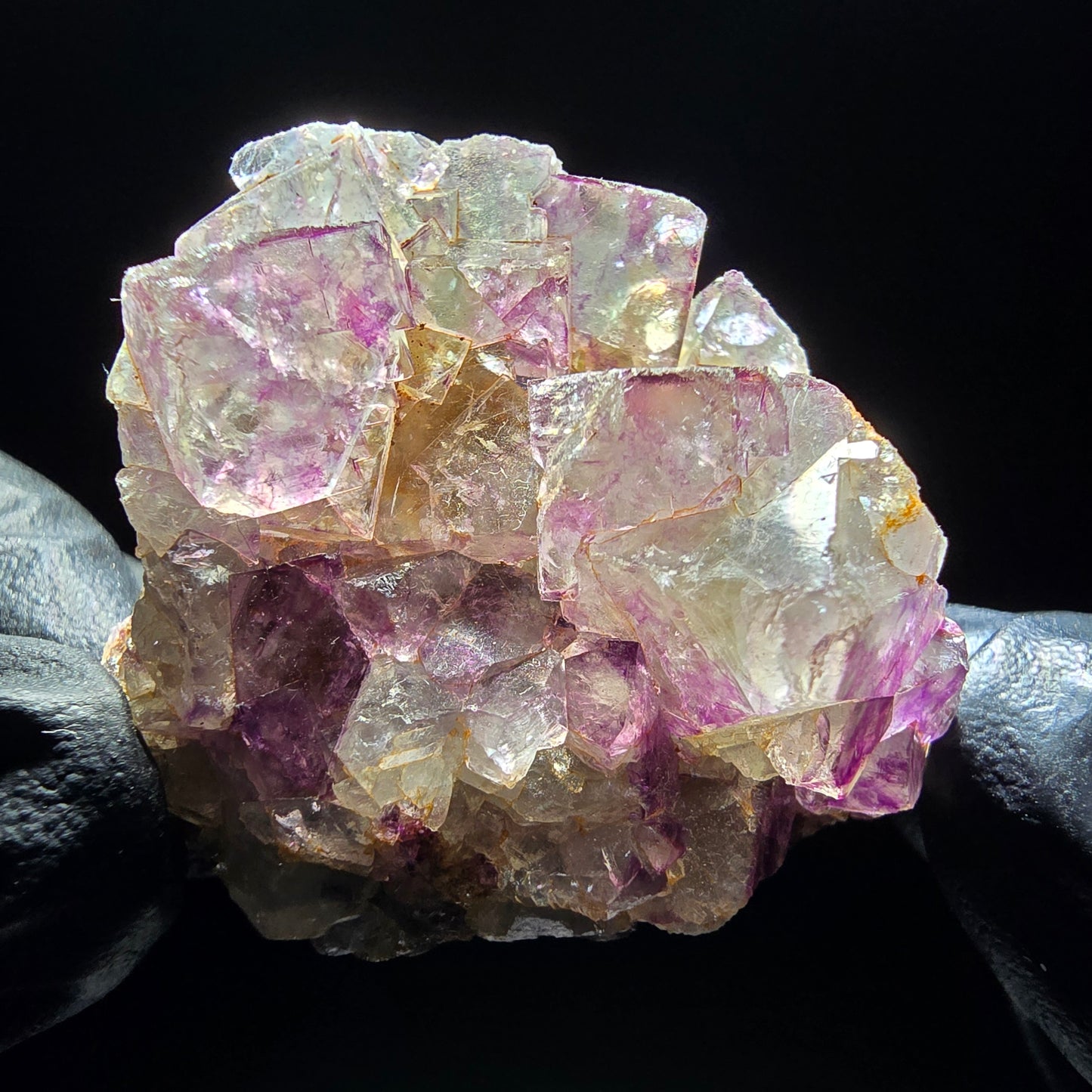 Zonare Fluorite Cube Tier Vert Violet Okorusu, Namibie 42*36*18mm Collection
