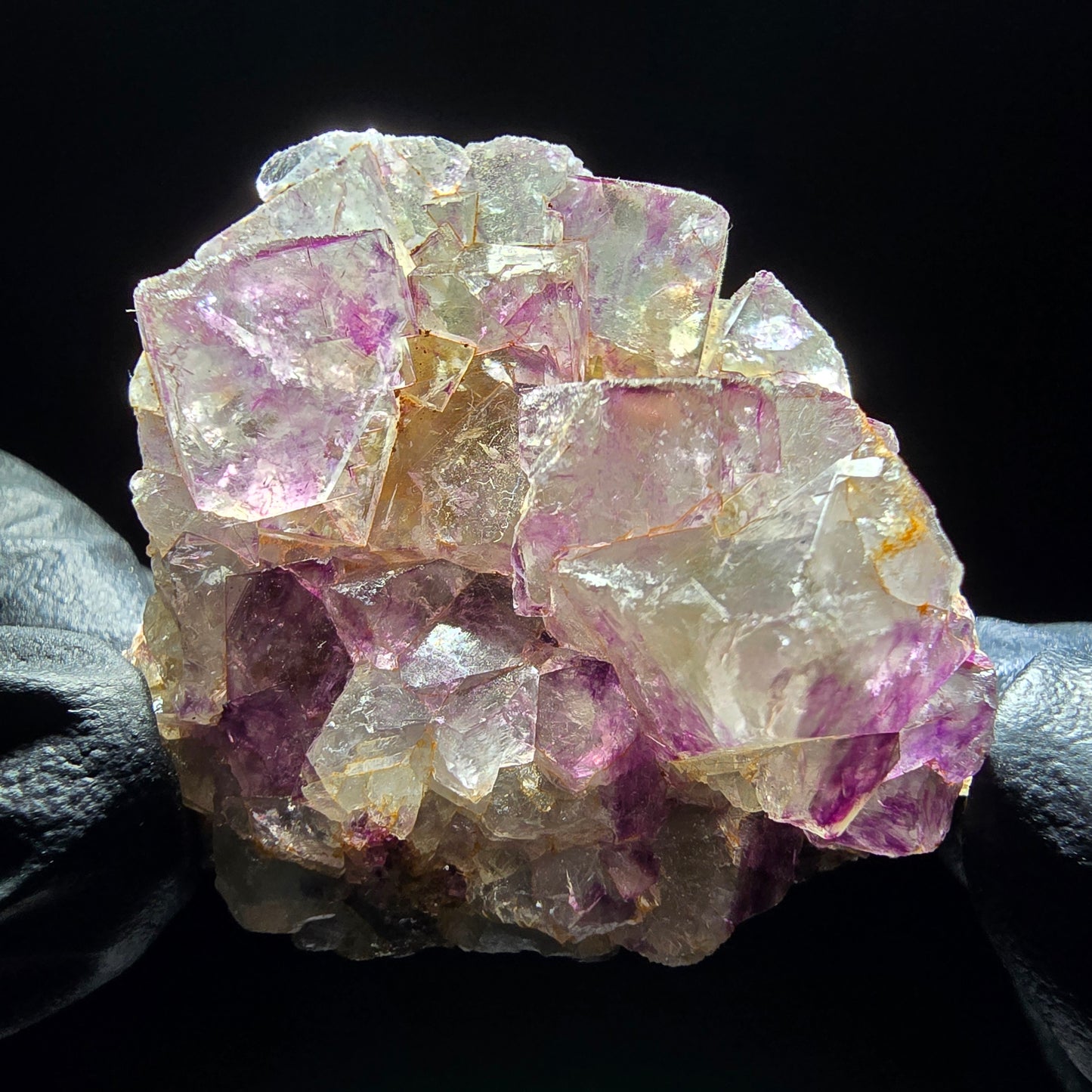 Zonare Fluorite Cube Tier Vert Violet Okorusu, Namibie 42*36*18mm Collection