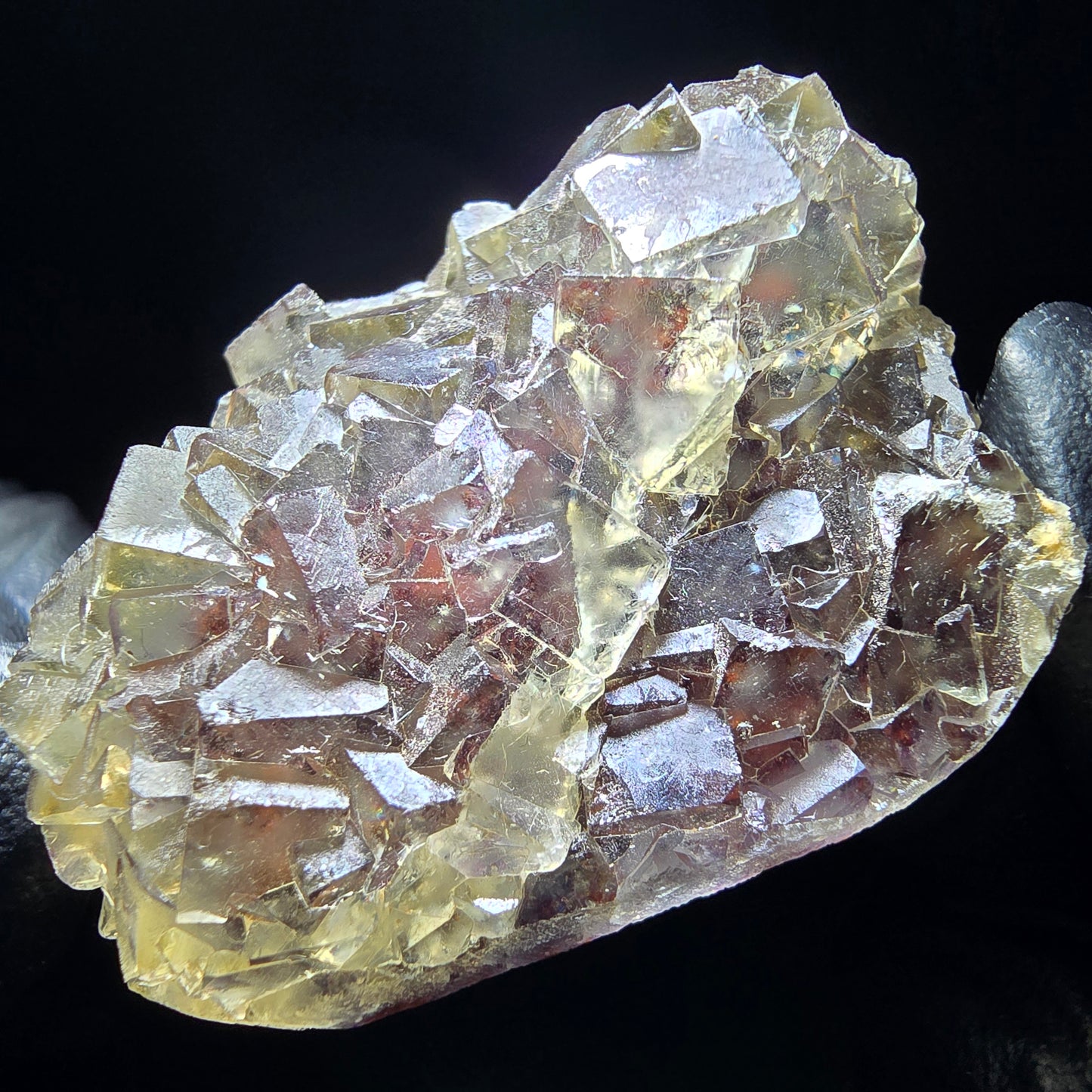 Phantom Fluorit Würfel Stufe gelb lila Okorusu, Namibia 44*34*16mm Sammlung
