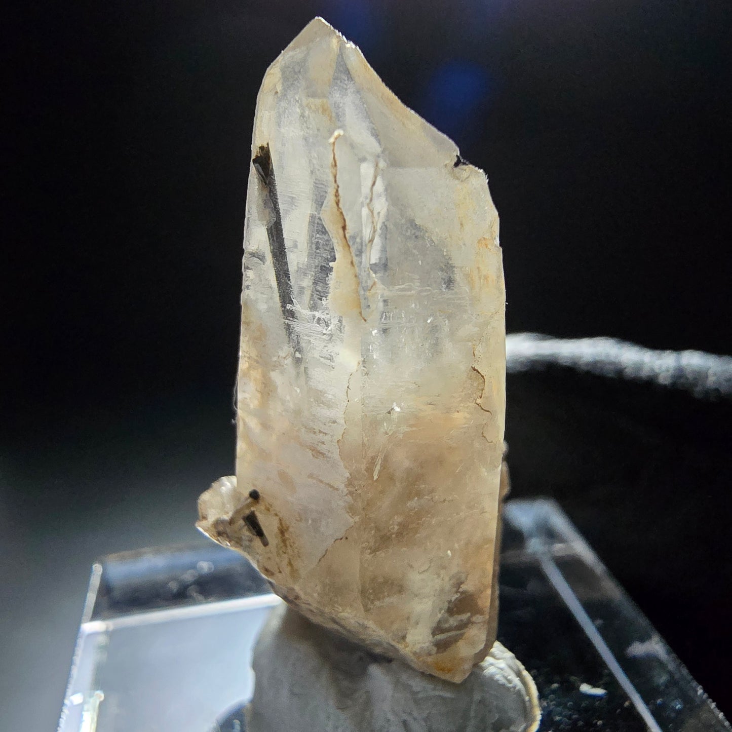 Klarer Turmalin Quarz, Rauchquarz mit Schörl Erongo Namibia 29*16*12mm Sammlung