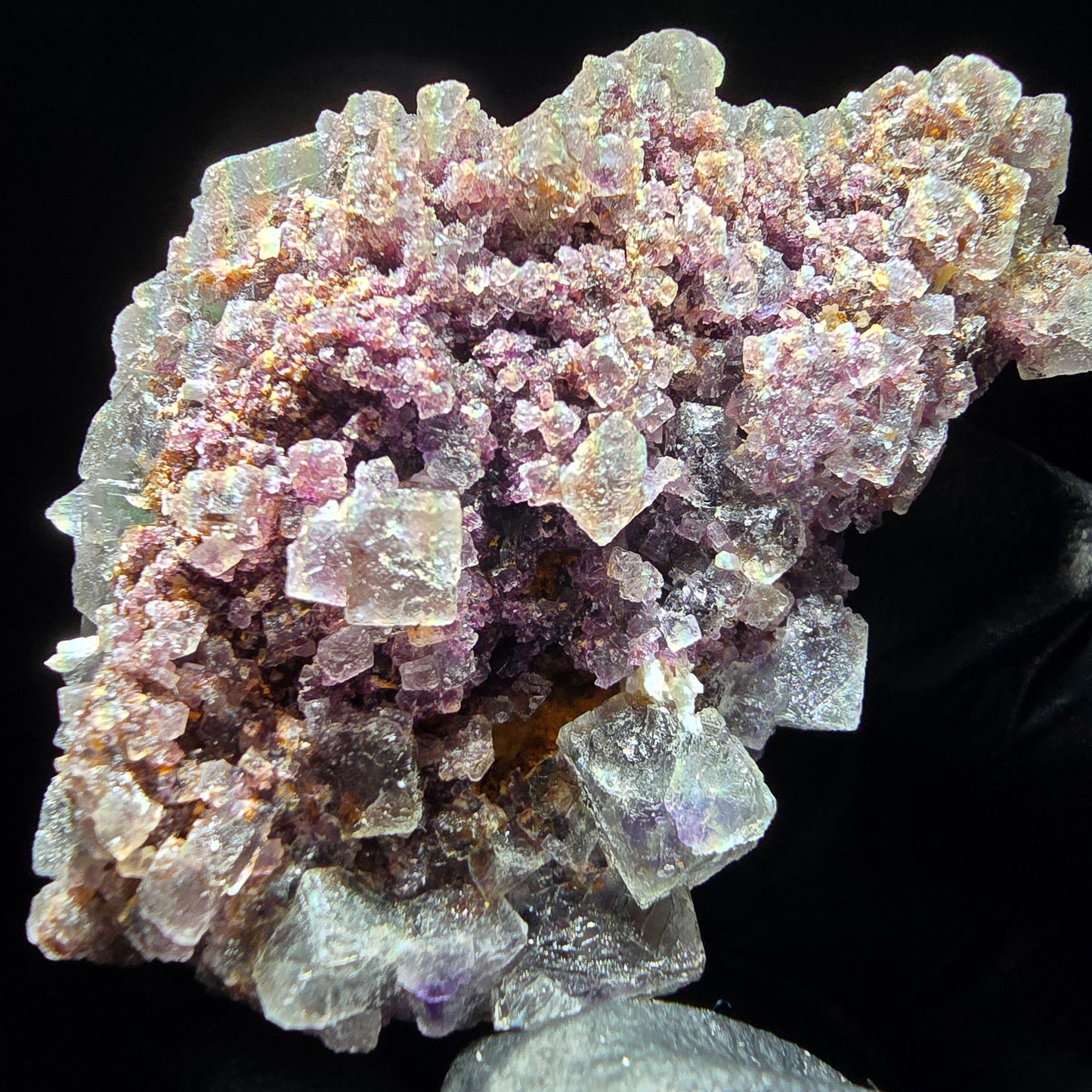 Phantom Fluorite Cube Tier Violet Vert Blanc Erongo, Namibie 55*35*21mm Collection